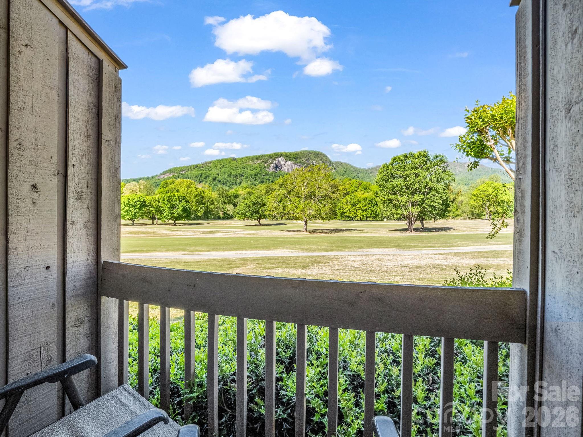 182 W Lake Drive S #1403 — Lake Lure