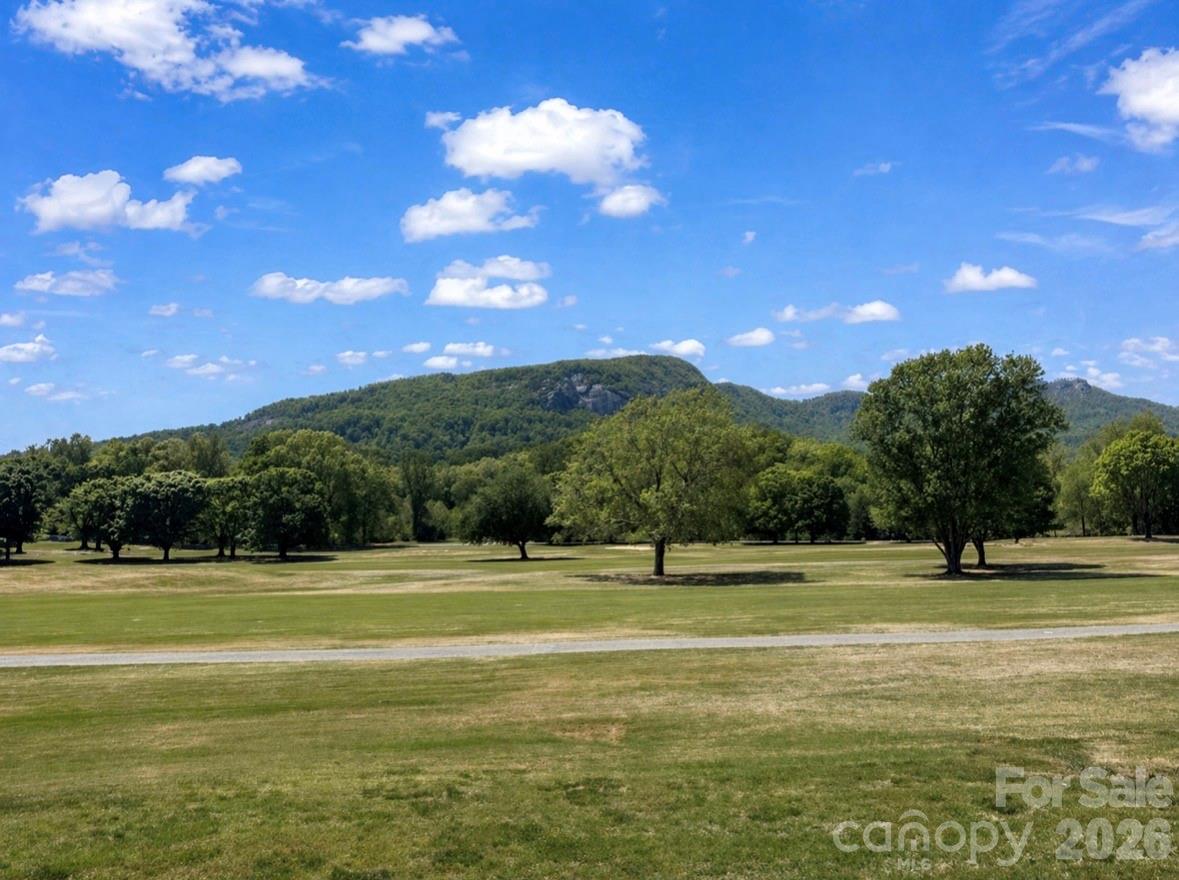182 W Lake Drive S #1403 — Lake Lure