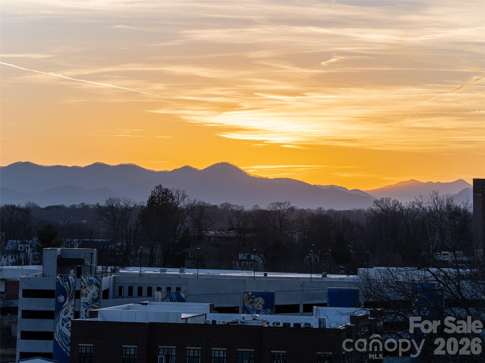 145 Biltmore Avenue #700 — Asheville