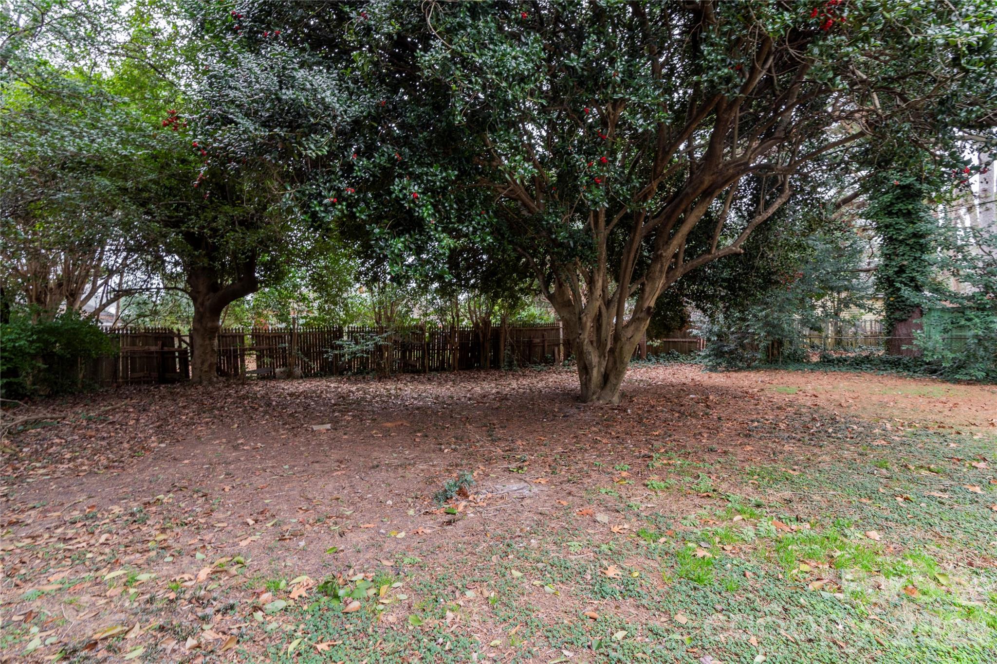3037 Marlowe Avenue — Charlotte