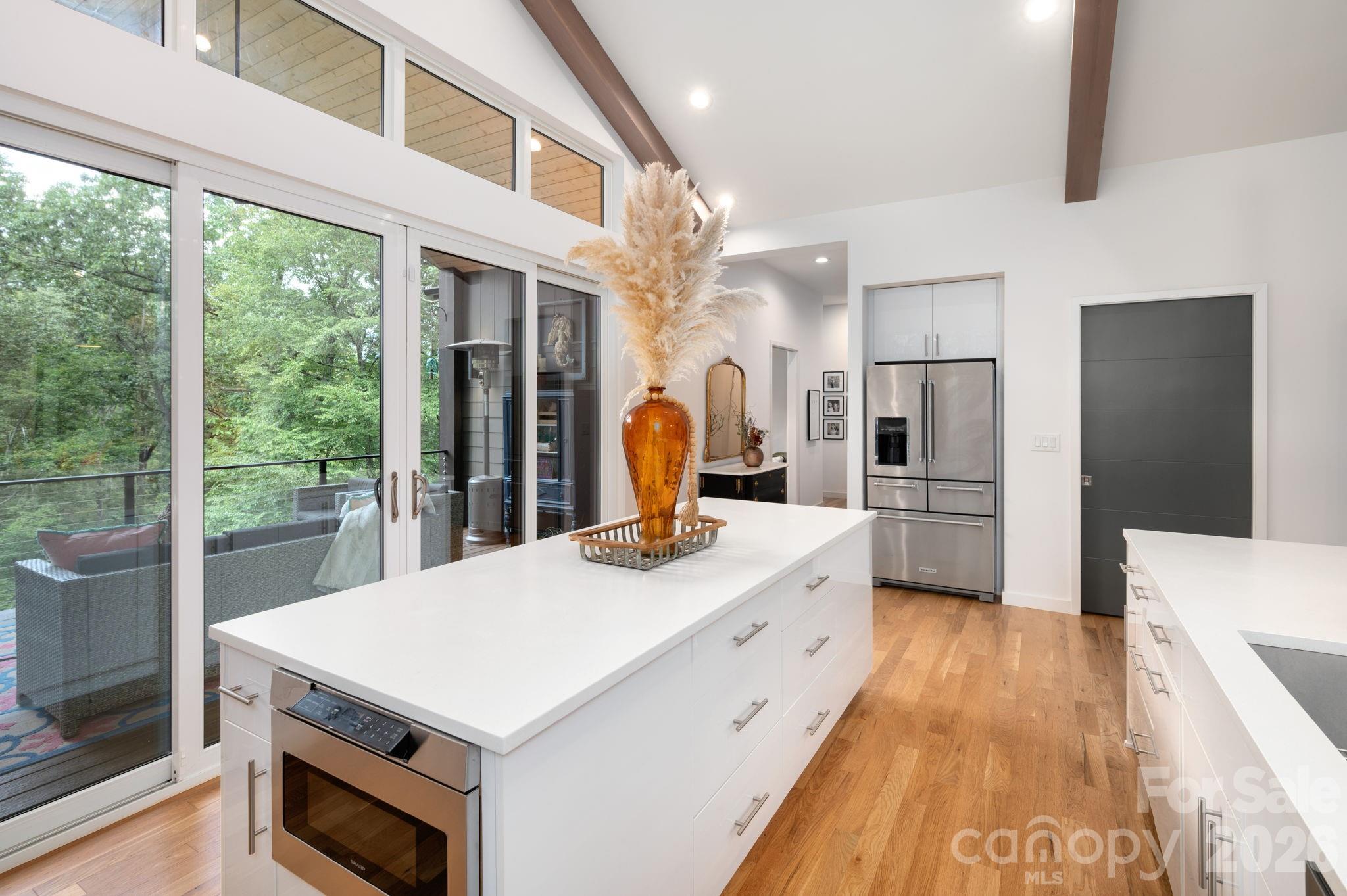 559 Shining Rock Path — Horse Shoe