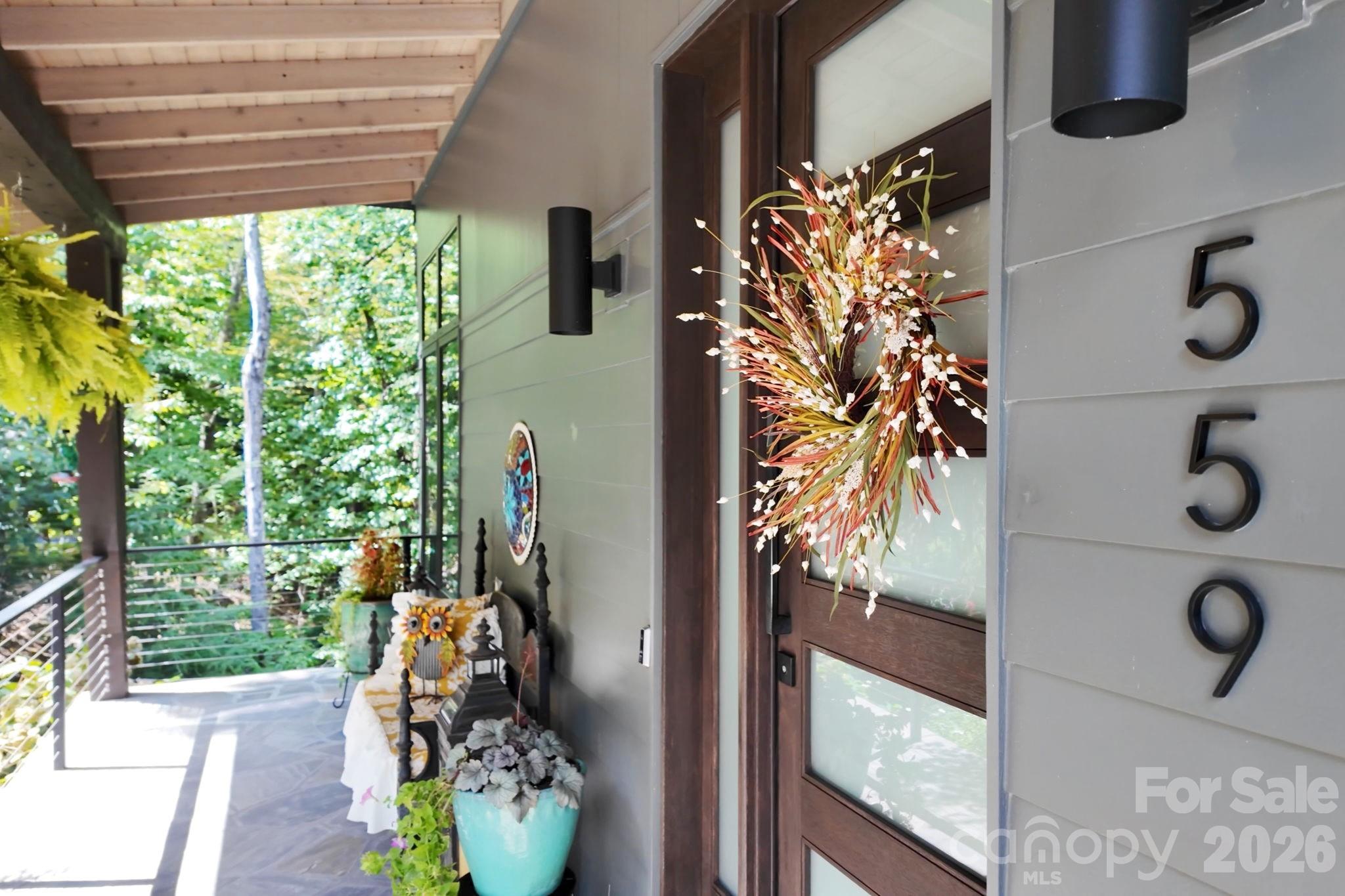 559 Shining Rock Path — Horse Shoe
