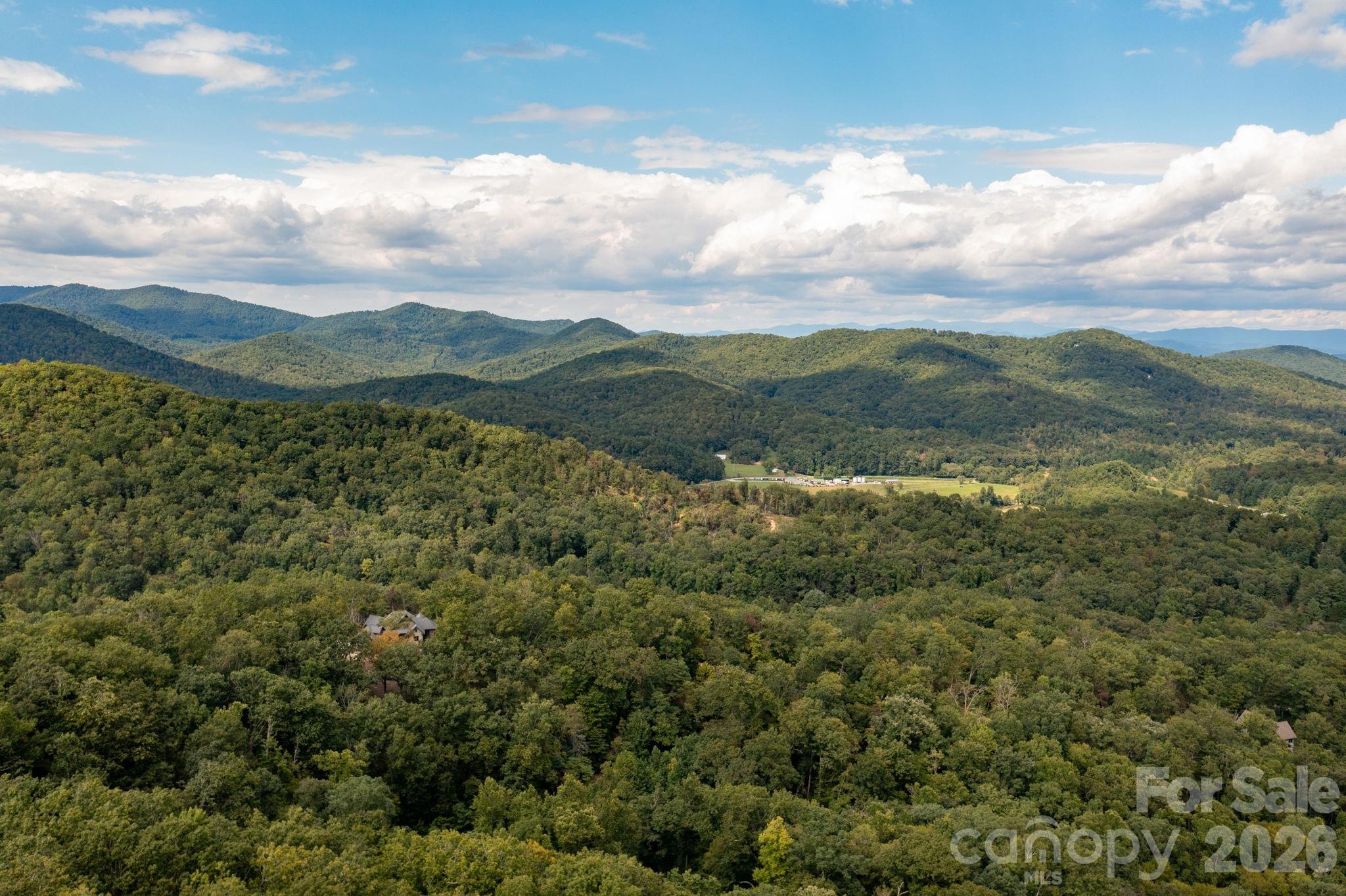 559 Shining Rock Path — Horse Shoe