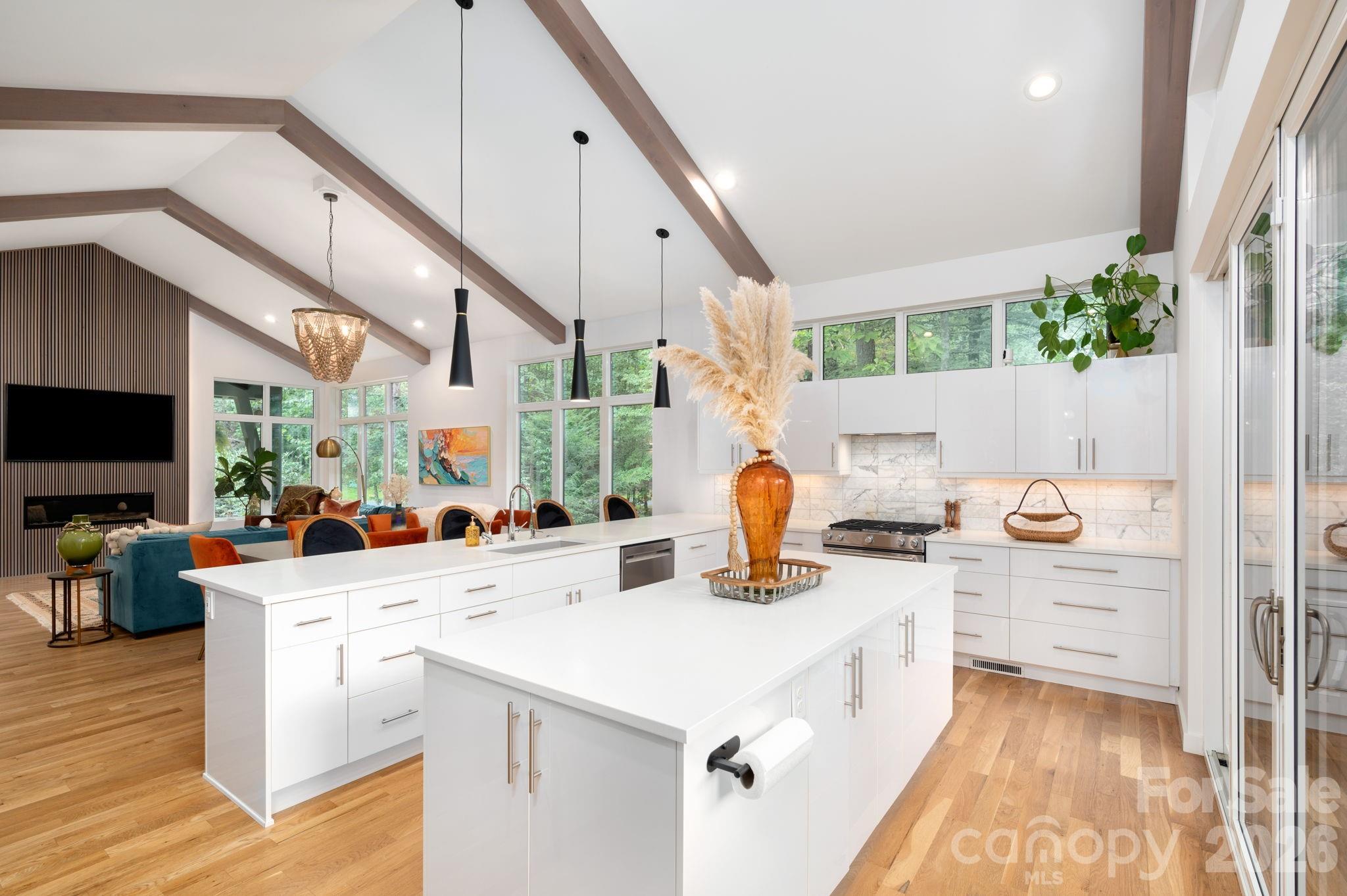 559 Shining Rock Path — Horse Shoe