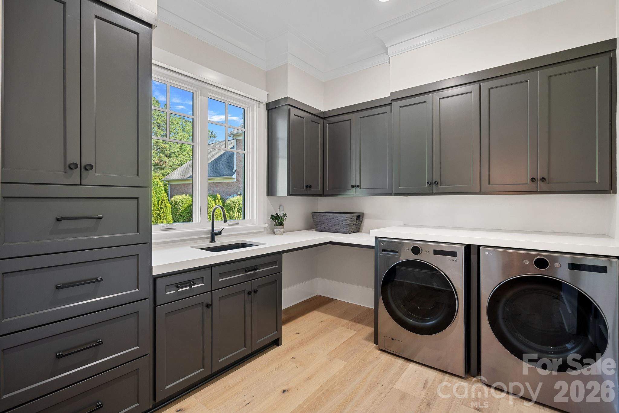 16906 Lake Shore Drive — Cornelius