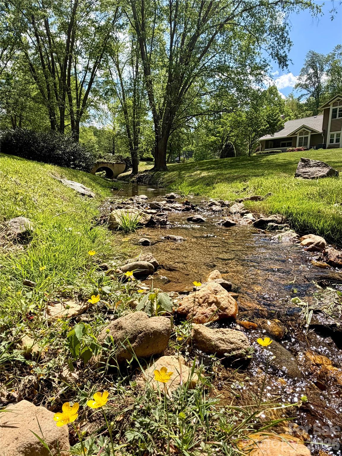 8 Creekside Lane — Asheville