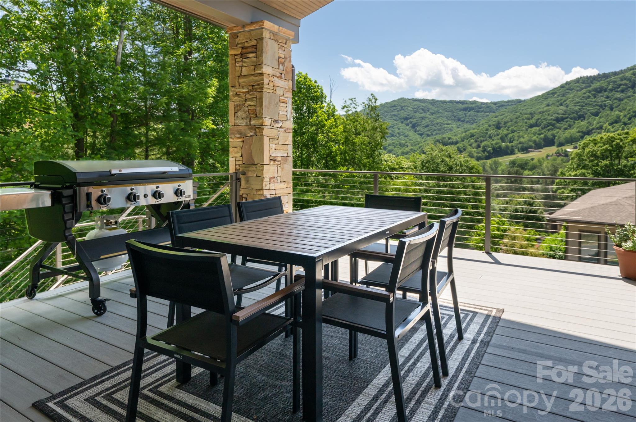 110 Plateau Drive — Maggie Valley