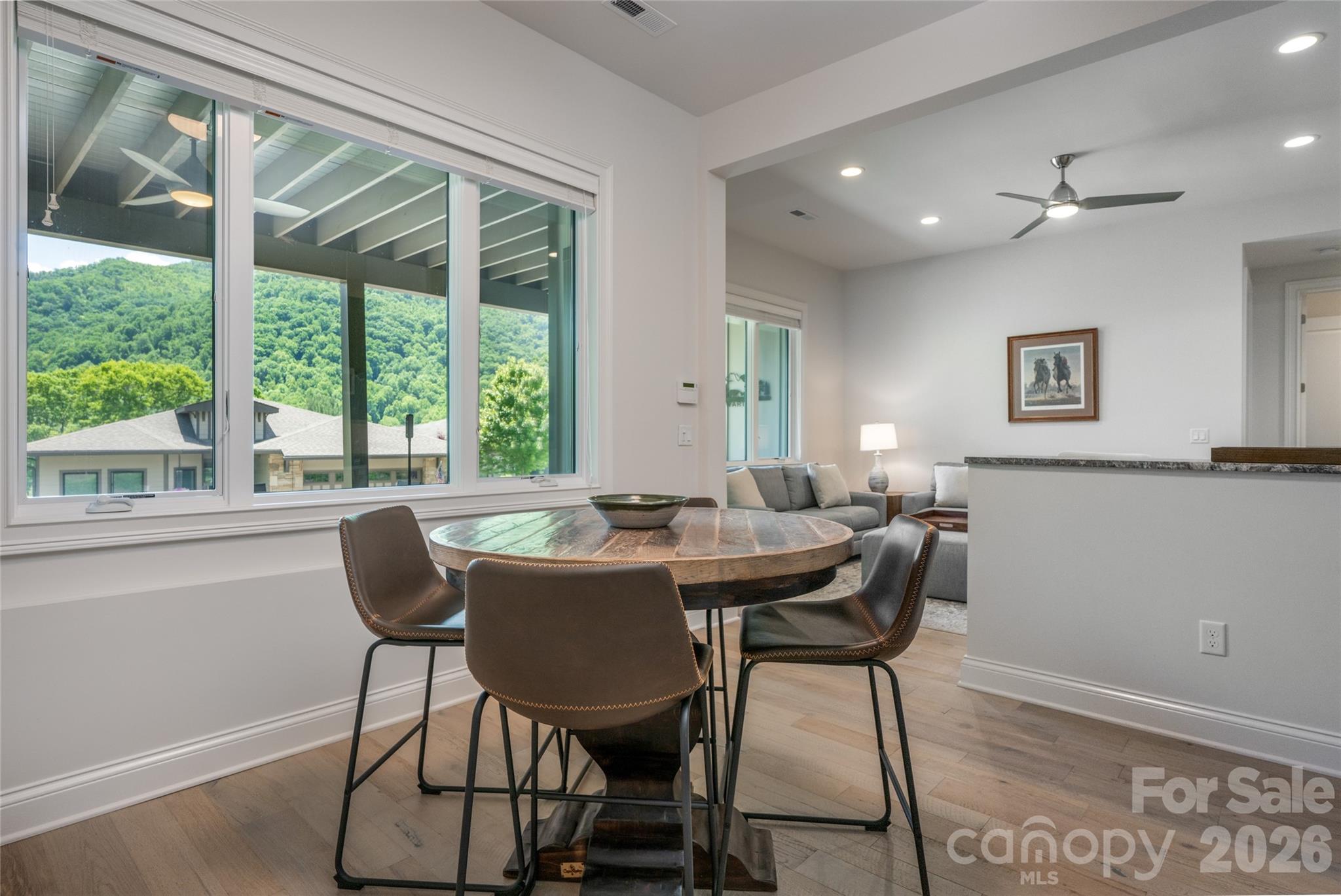 110 Plateau Drive — Maggie Valley