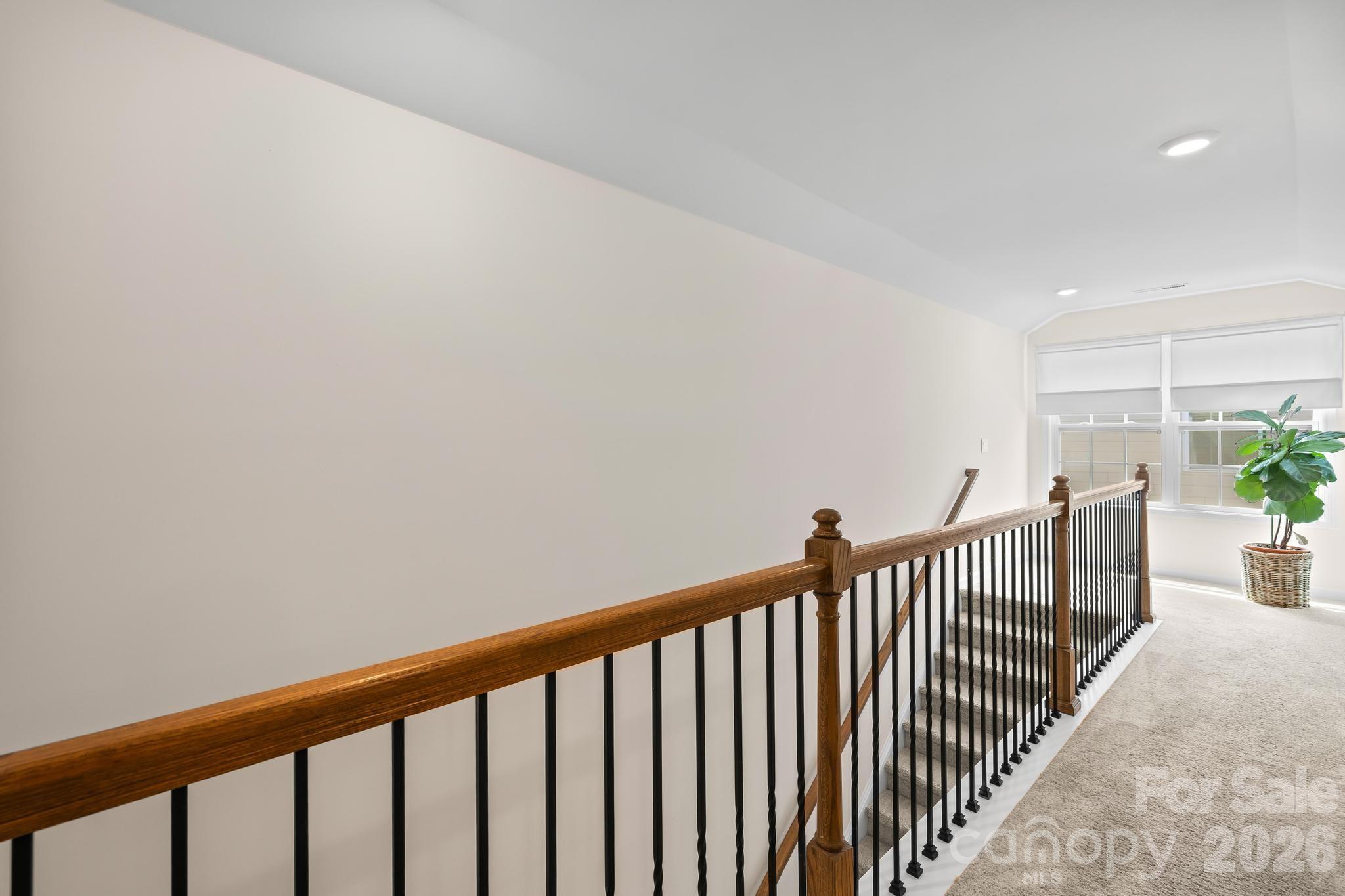 3172 Burnello Court #113 — Iron Station