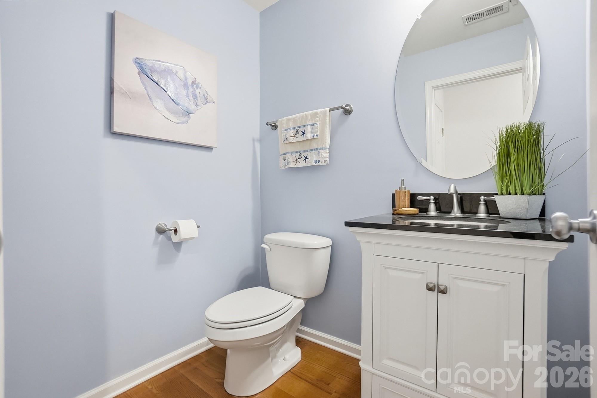 10706 Anglesey Court — Charlotte