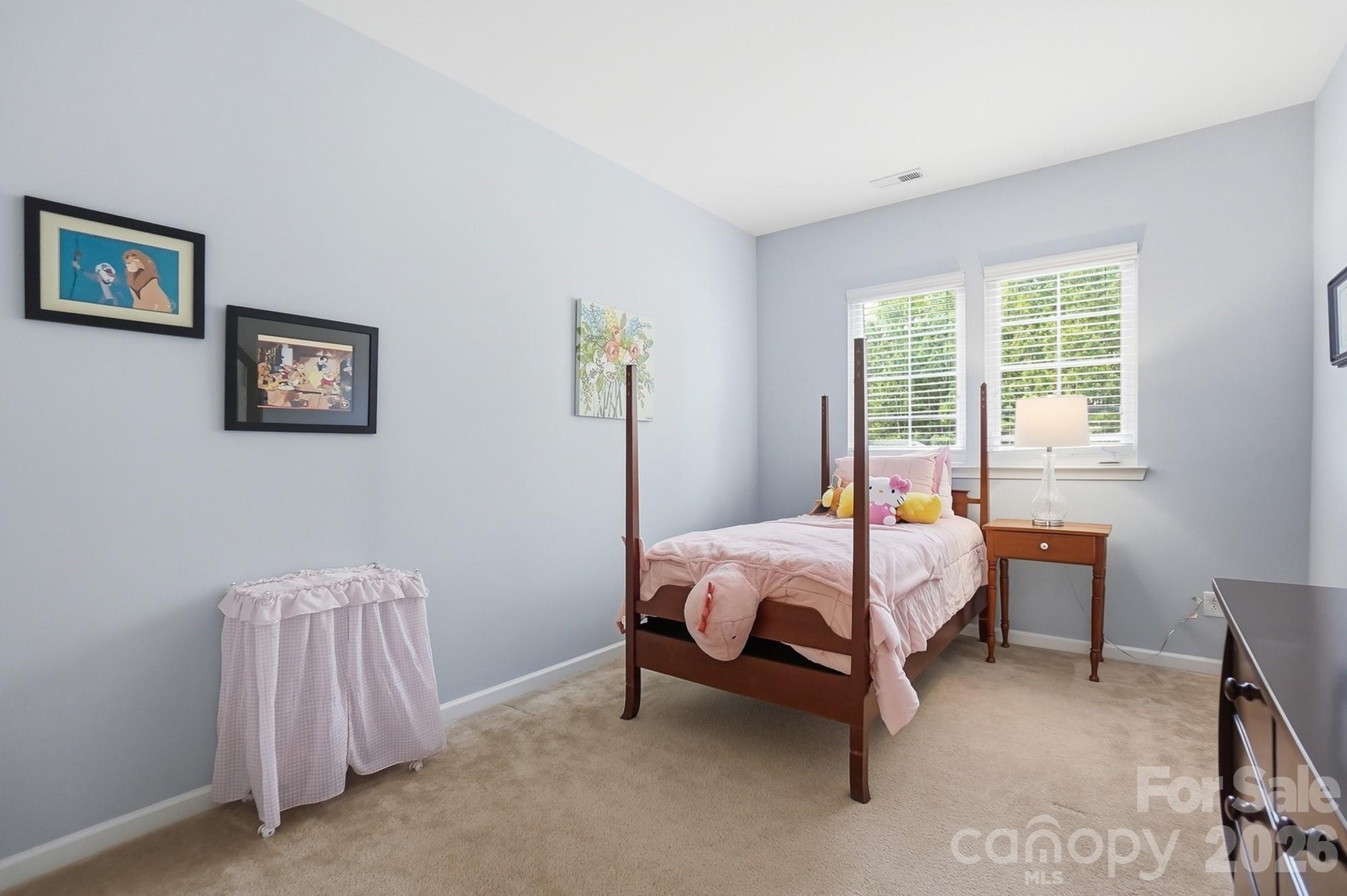 10706 Anglesey Court — Charlotte