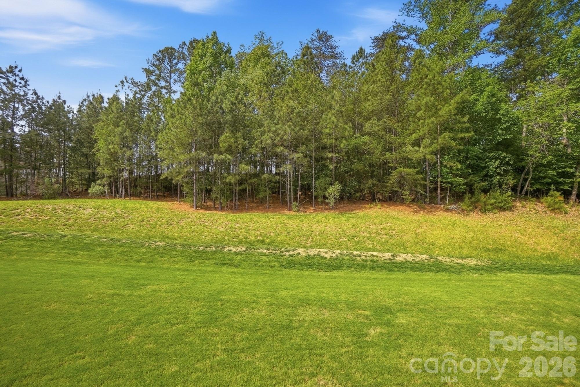 10706 Anglesey Court — Charlotte