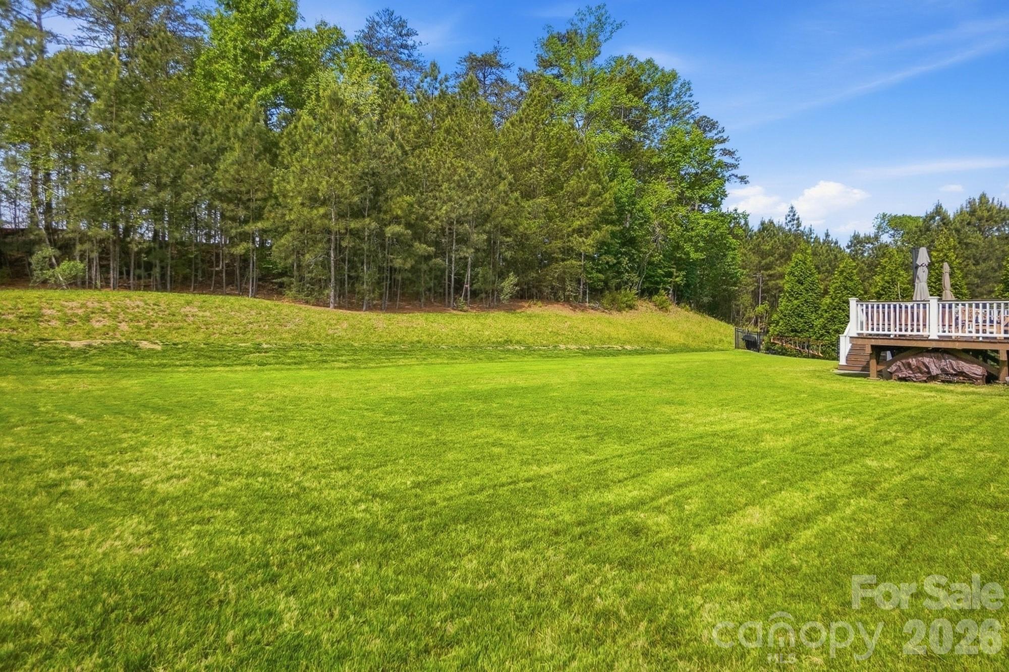 10706 Anglesey Court — Charlotte