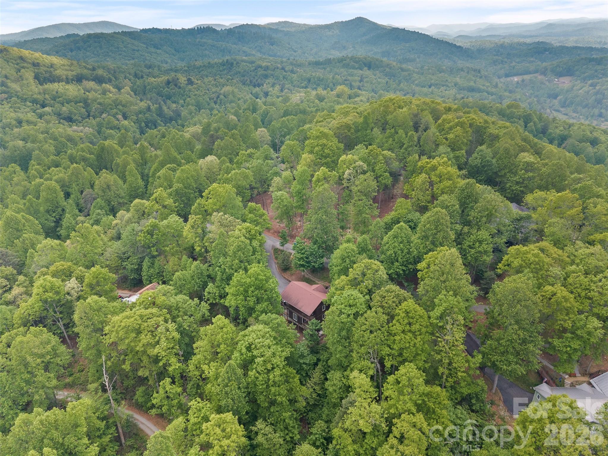 350 Laurel Mountain Trail — Saluda