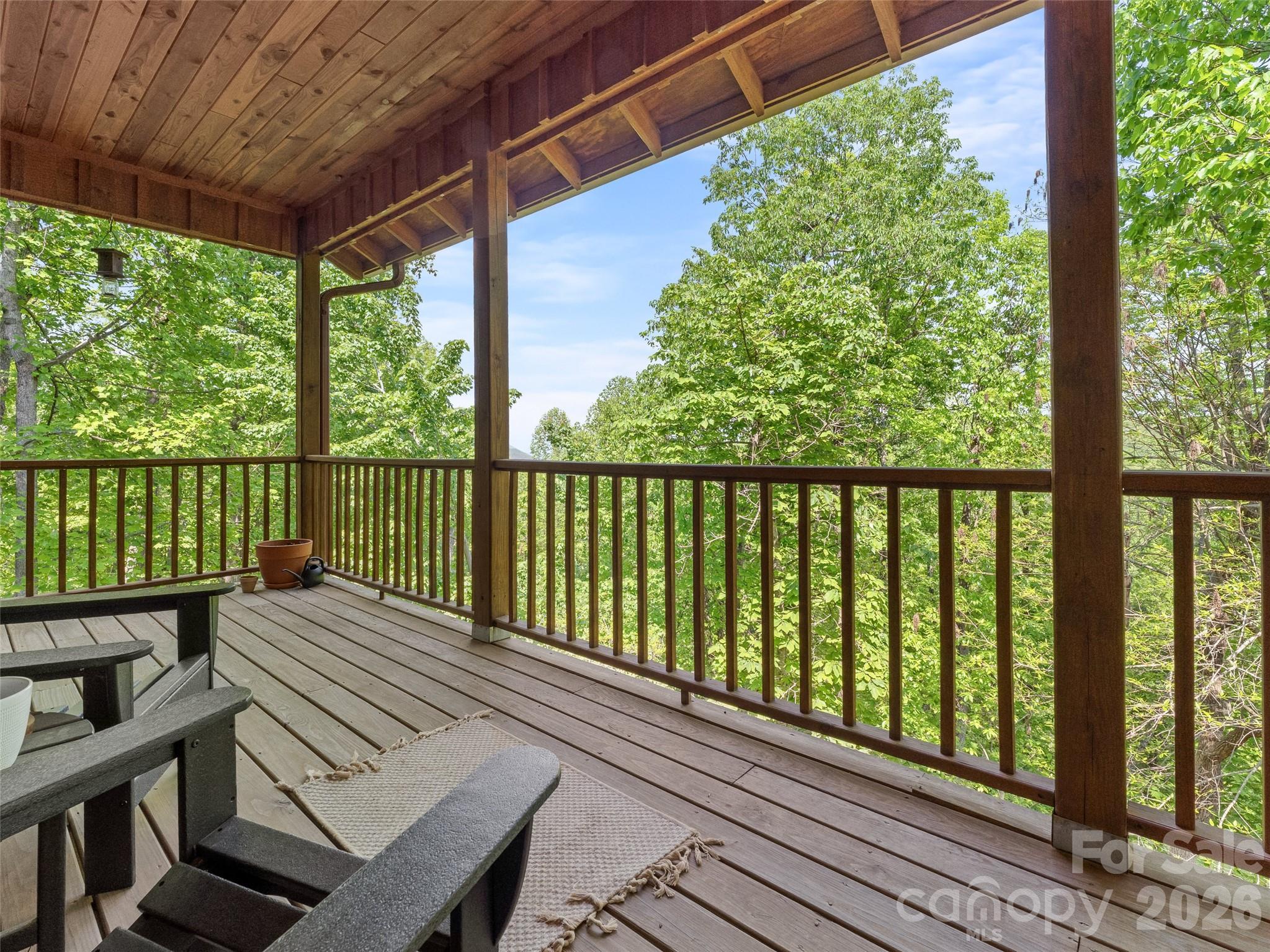 350 Laurel Mountain Trail — Saluda