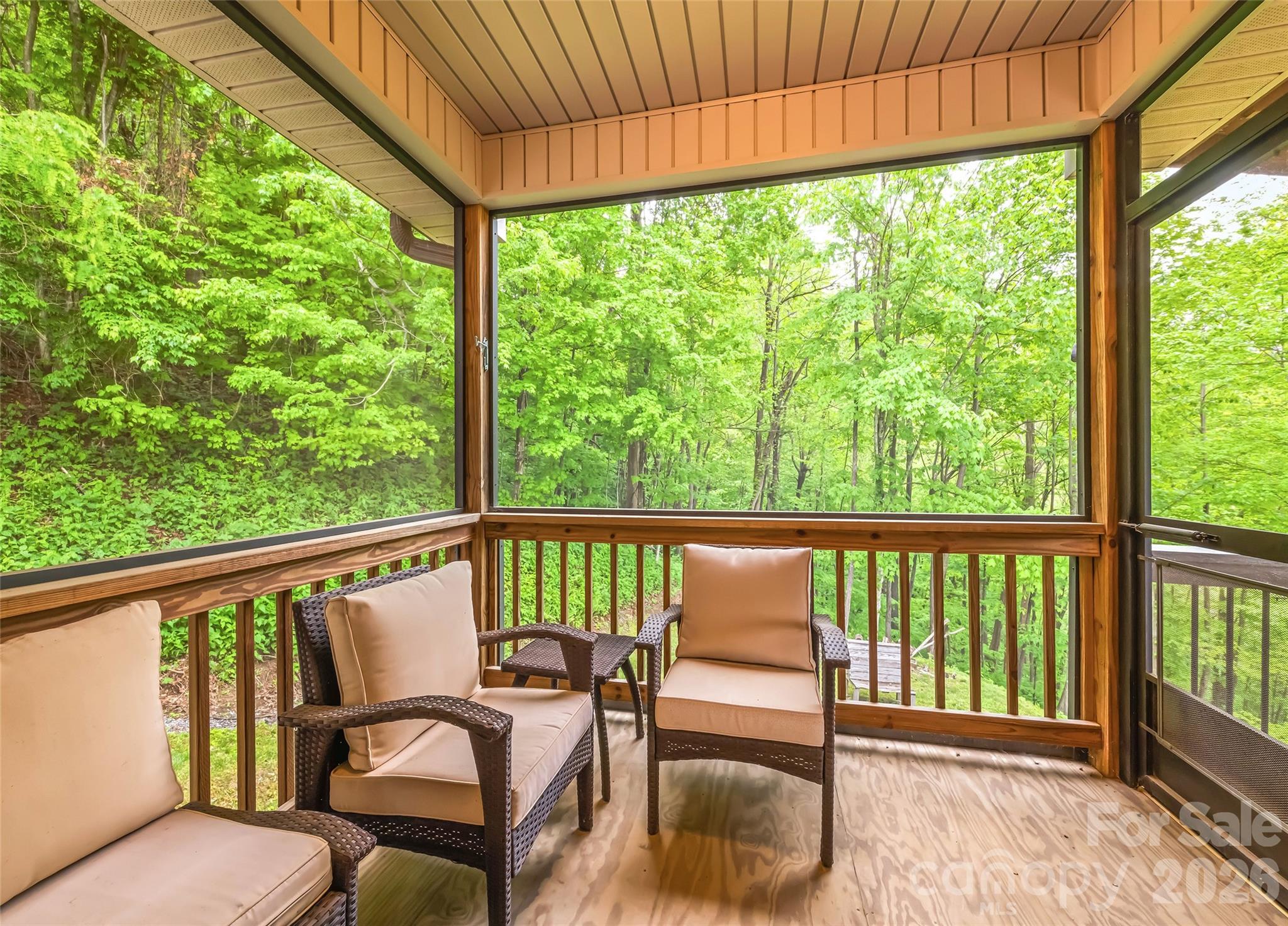 72 Tadpole Lane — Waynesville