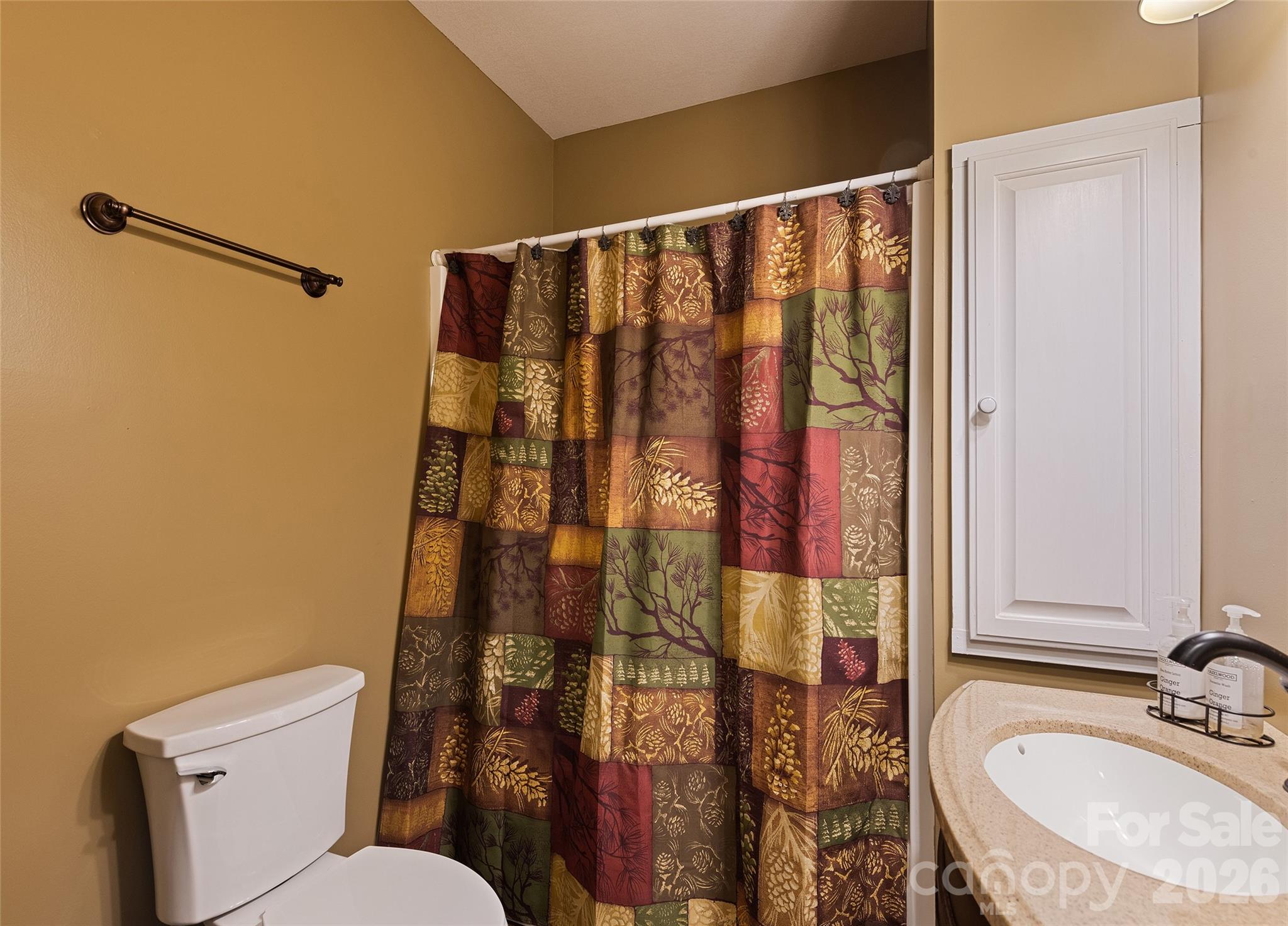 72 Tadpole Lane — Waynesville
