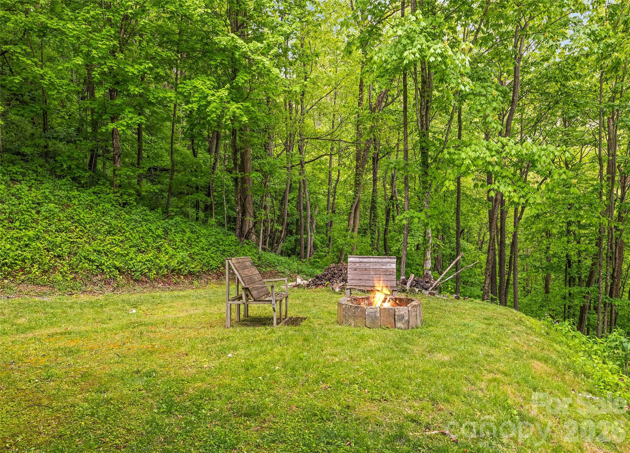 72 Tadpole Lane — Waynesville