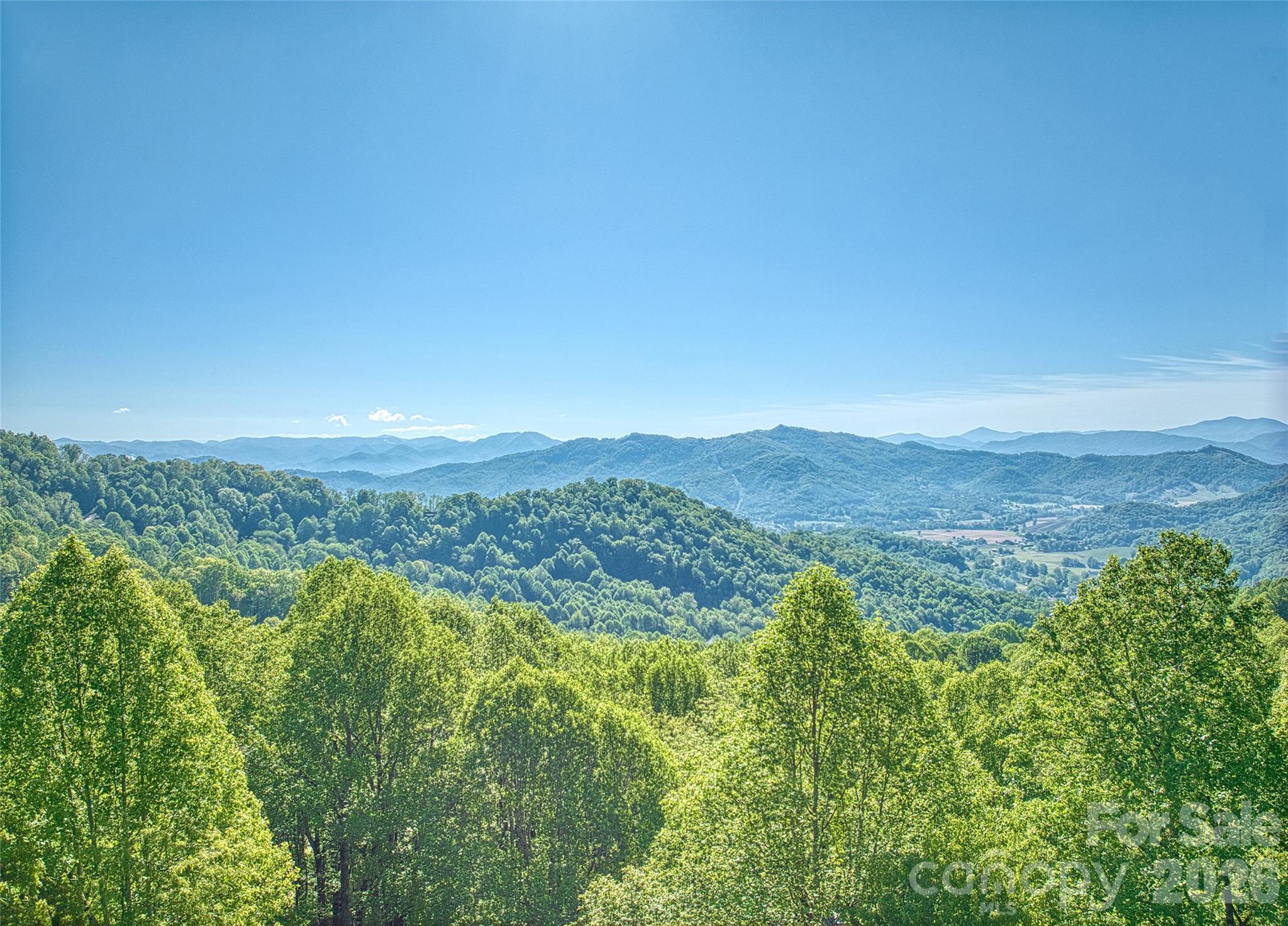 72 Tadpole Lane — Waynesville