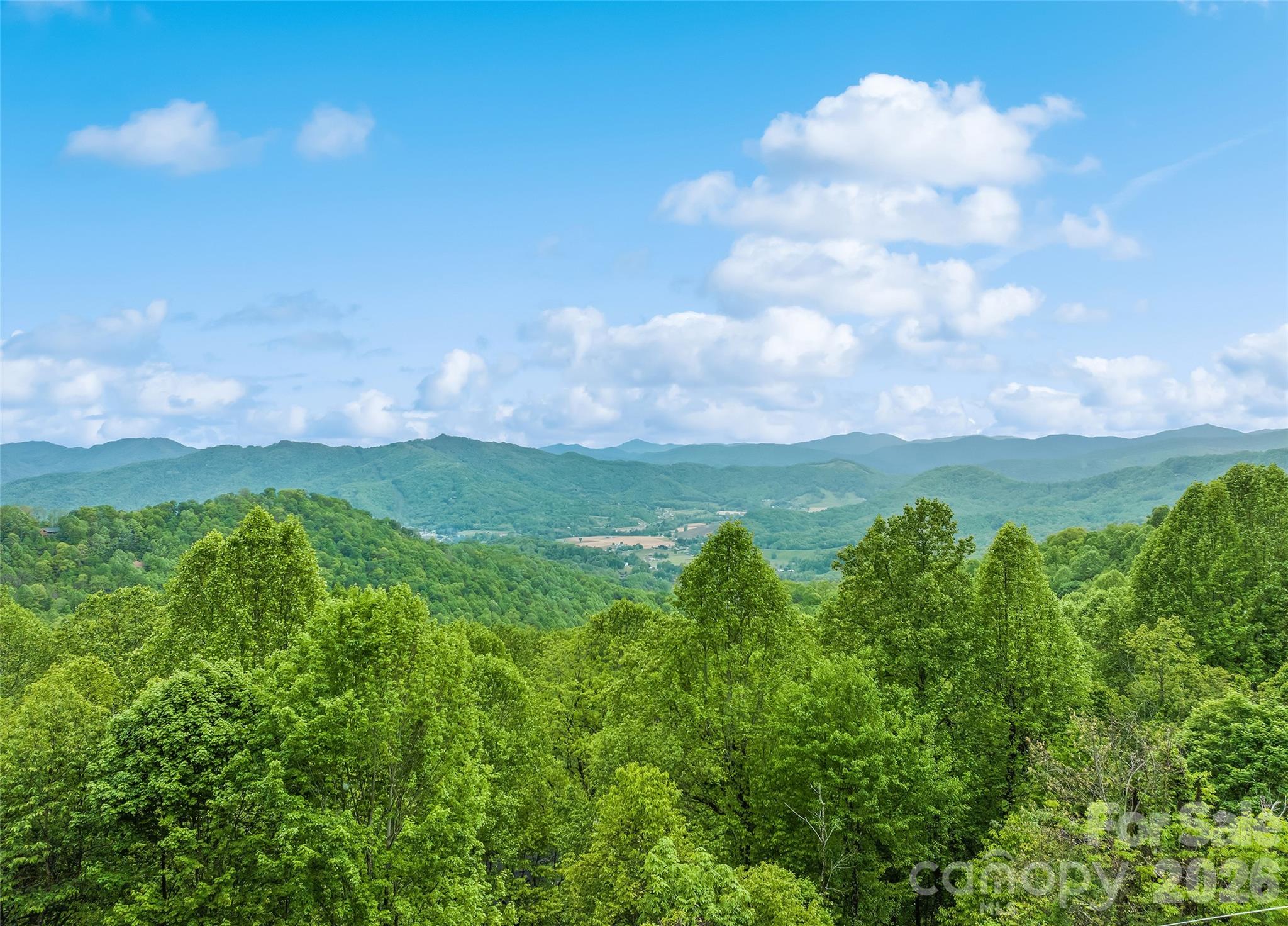 72 Tadpole Lane — Waynesville
