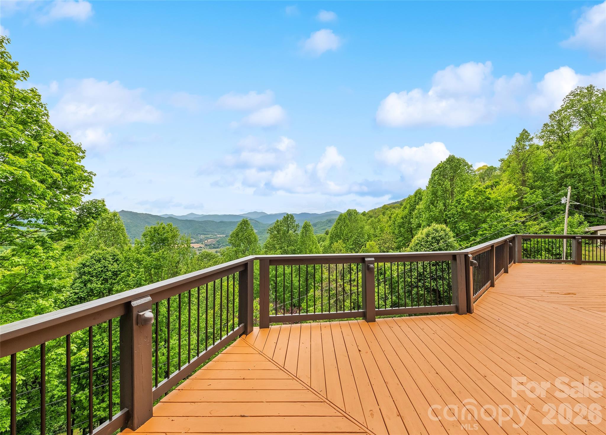 72 Tadpole Lane — Waynesville