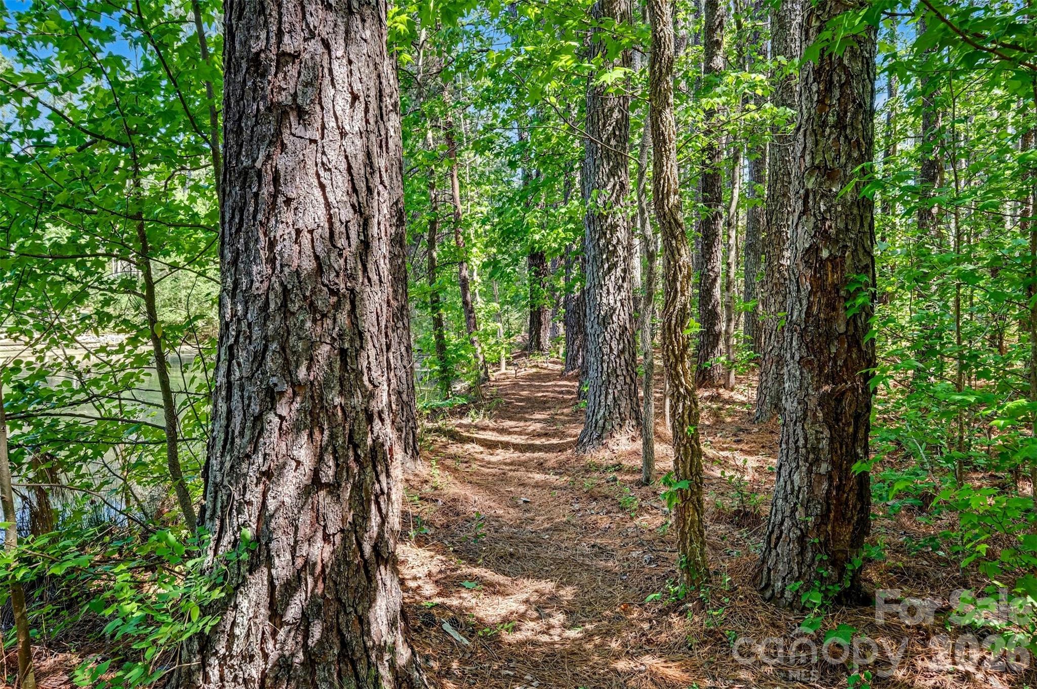 102 Antioch Plantation Road — Matthews