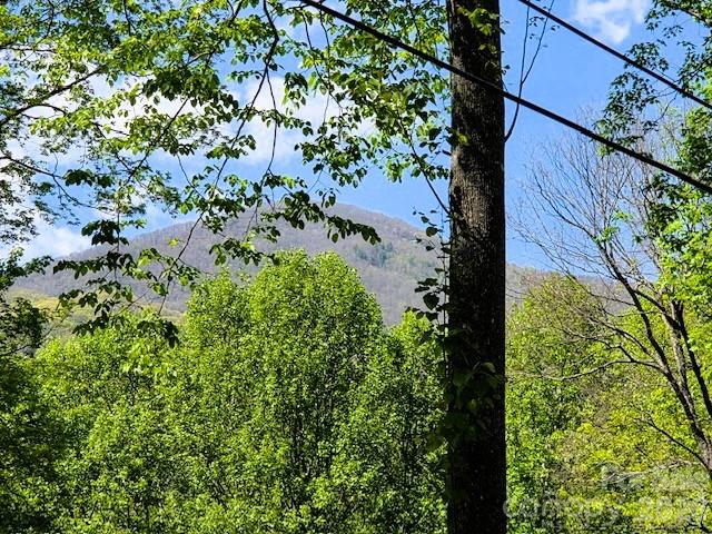 191 Forest Drive — Maggie Valley