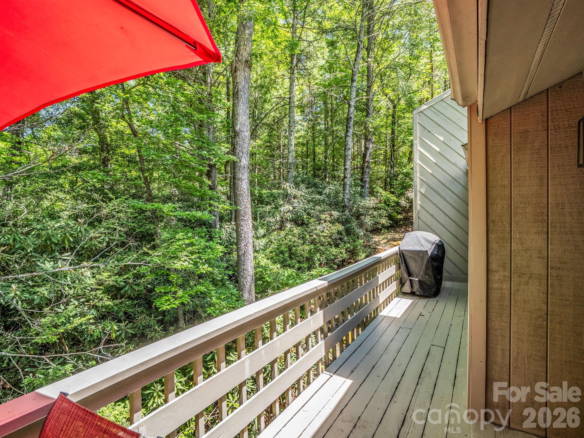 135 Mountain Village Boulevard #2005 — Lake Lure
