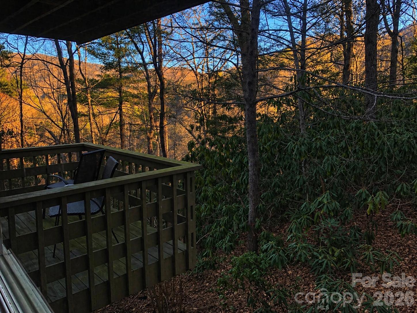 135 Mountain Village Boulevard #2005 — Lake Lure