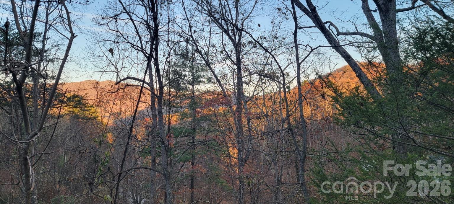 135 Mountain Village Boulevard #2005 — Lake Lure