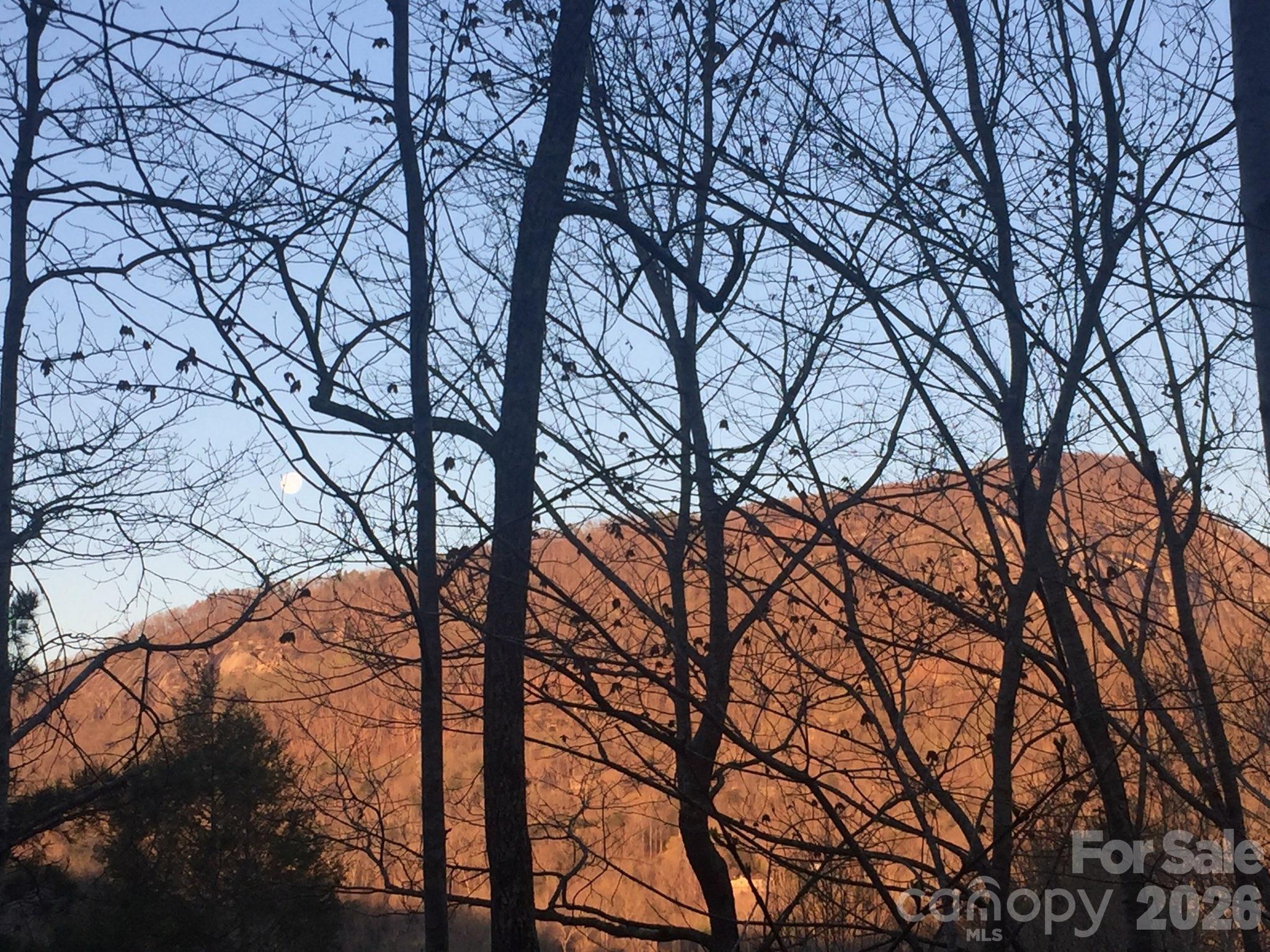 135 Mountain Village Boulevard #2005 — Lake Lure