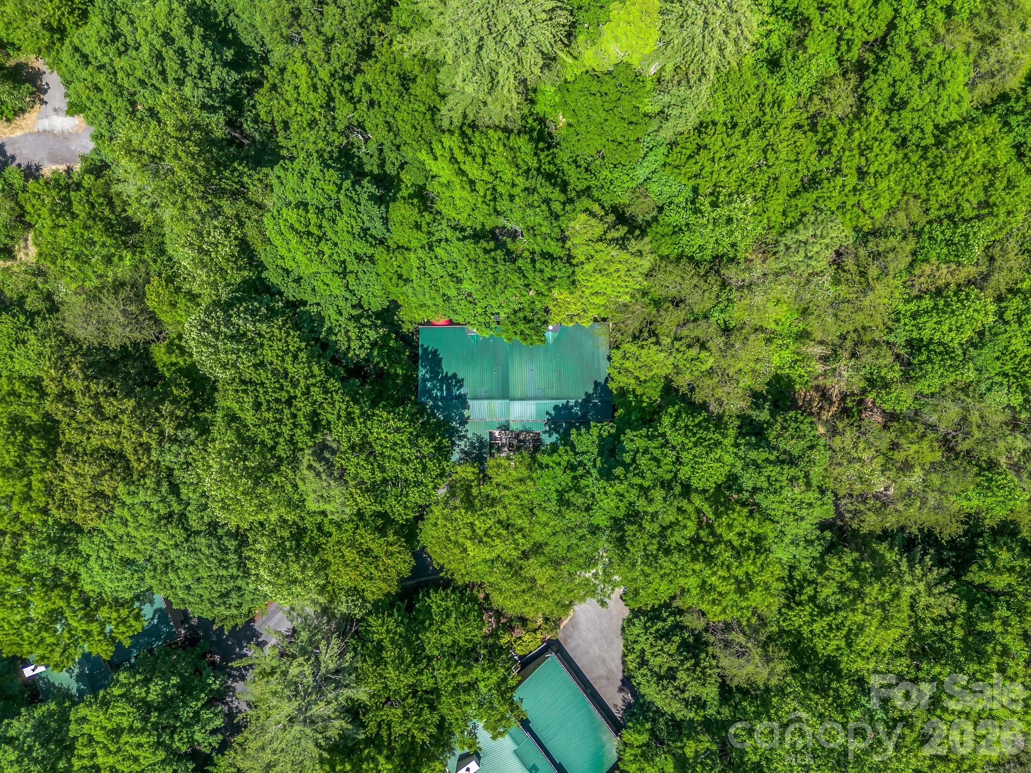 135 Mountain Village Boulevard #2005 — Lake Lure