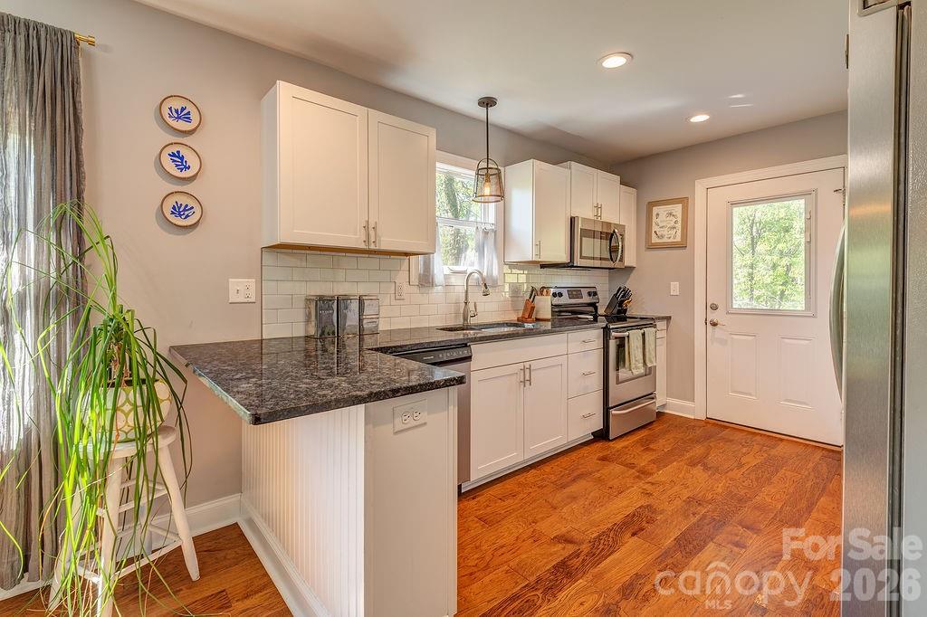 20 Plemmons Street — Asheville