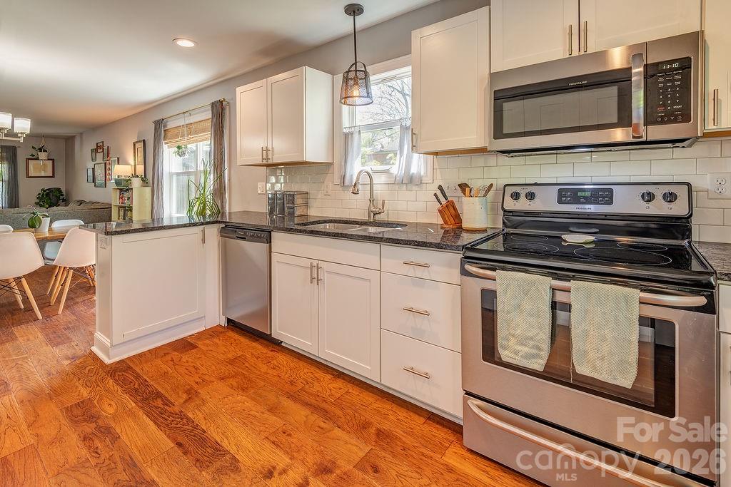 20 Plemmons Street — Asheville