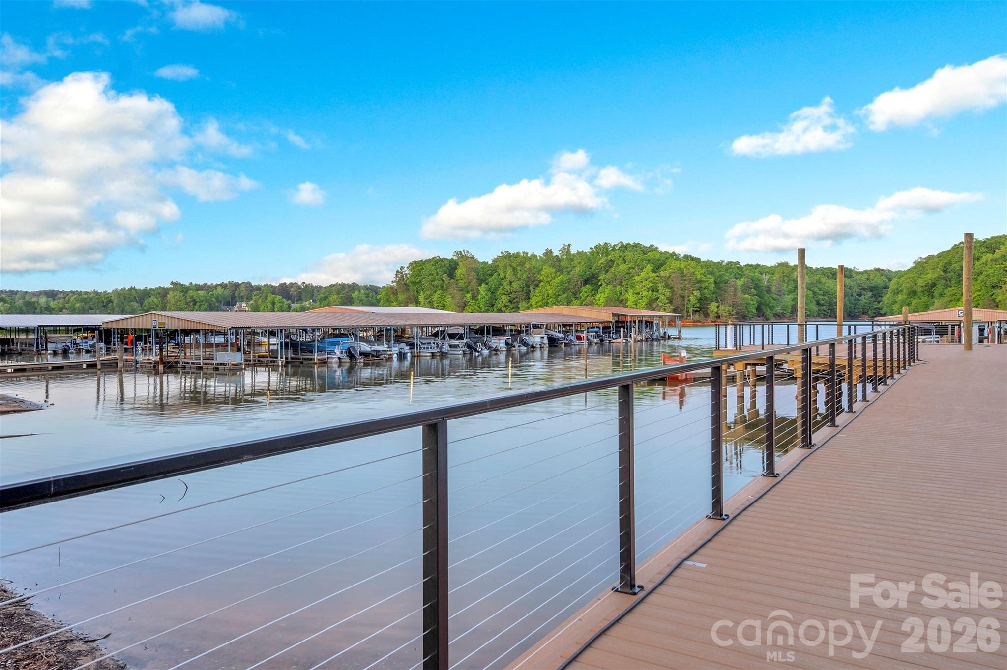 132 Shimmerlake Lane — Belmont