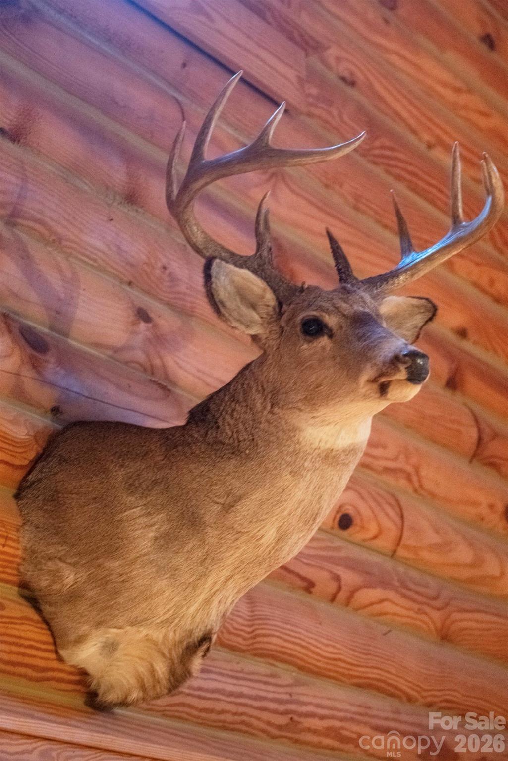 57 Club Lane — Winnsboro