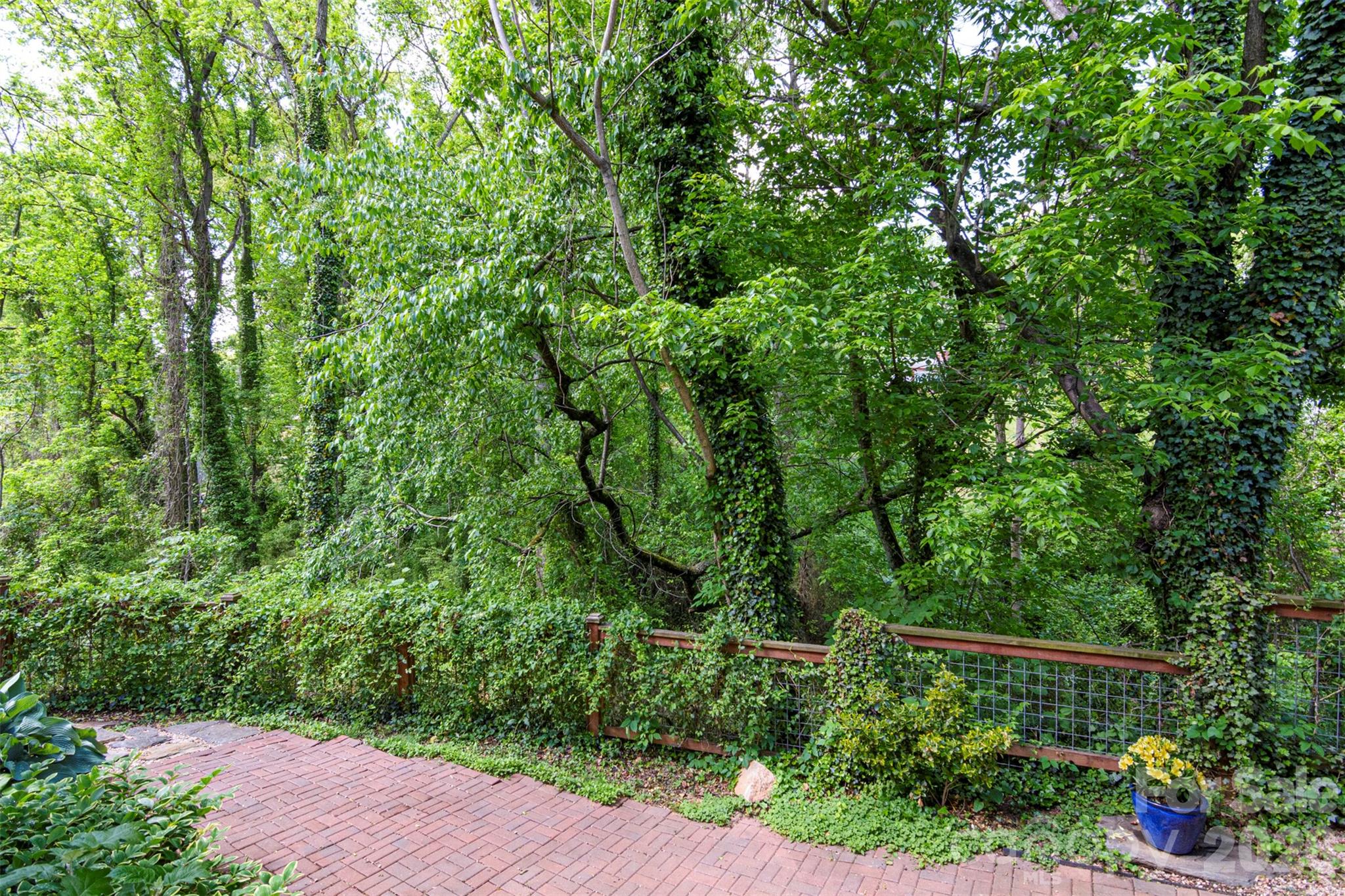 149 State Street — Asheville
