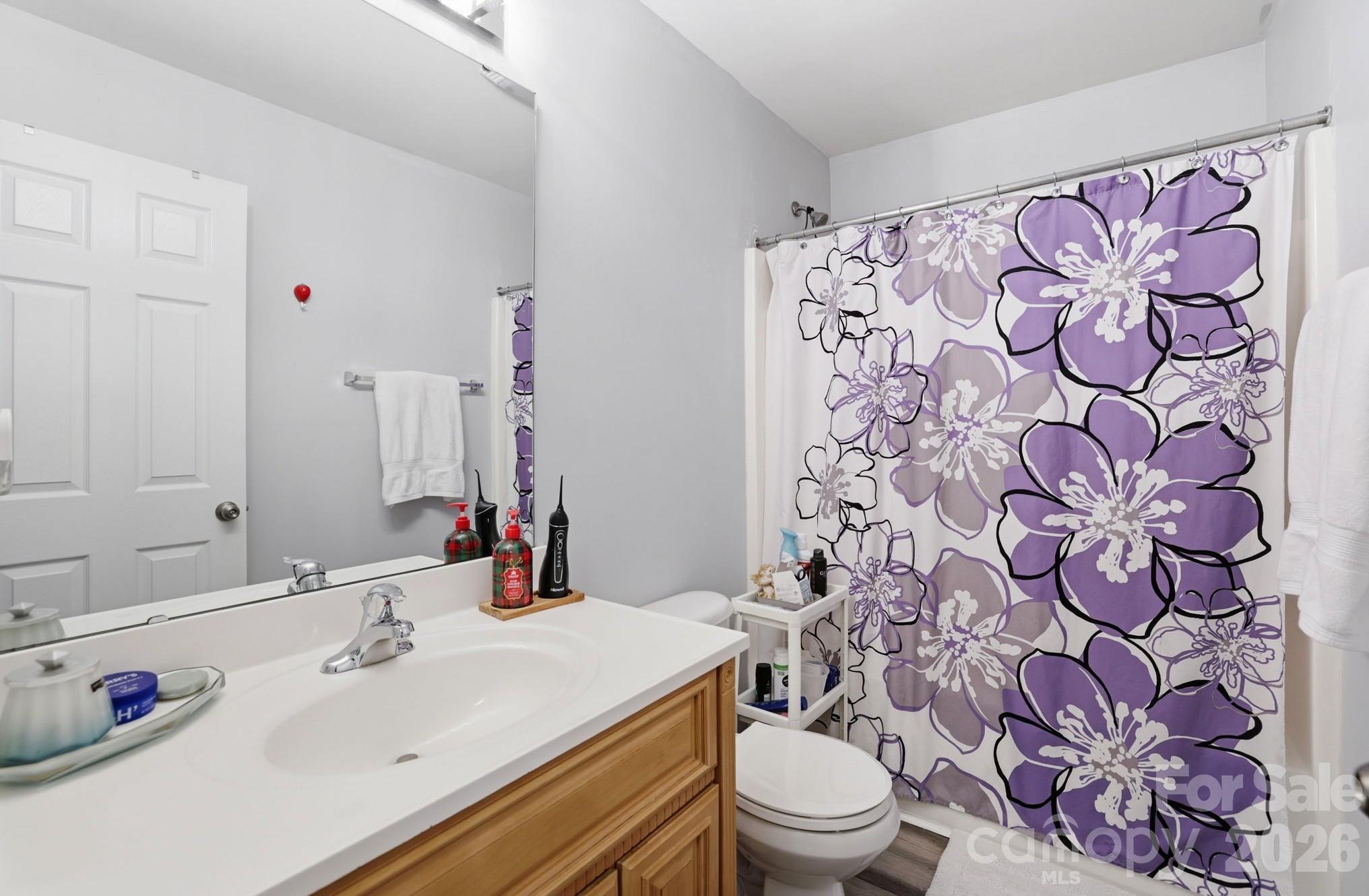 14227 Lake Crossing Drive — Charlotte