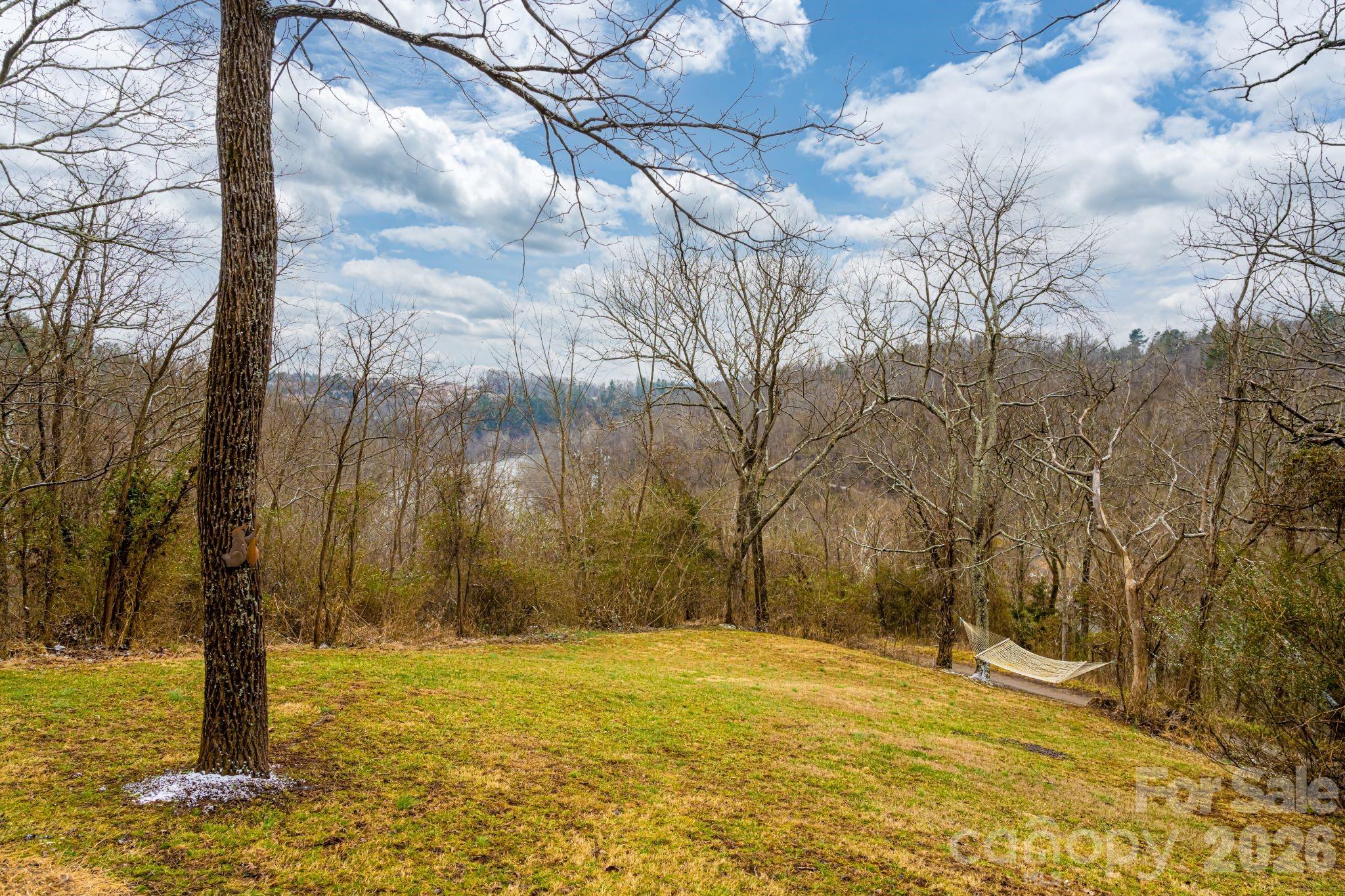 119 Old Salem Branch Drive #1B — Alexander