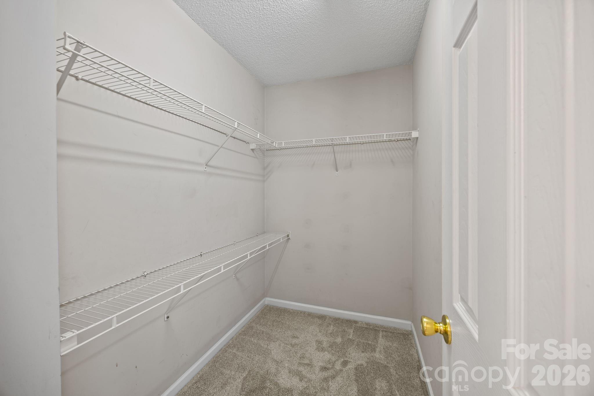 11540 Briddle Hall Court — Charlotte