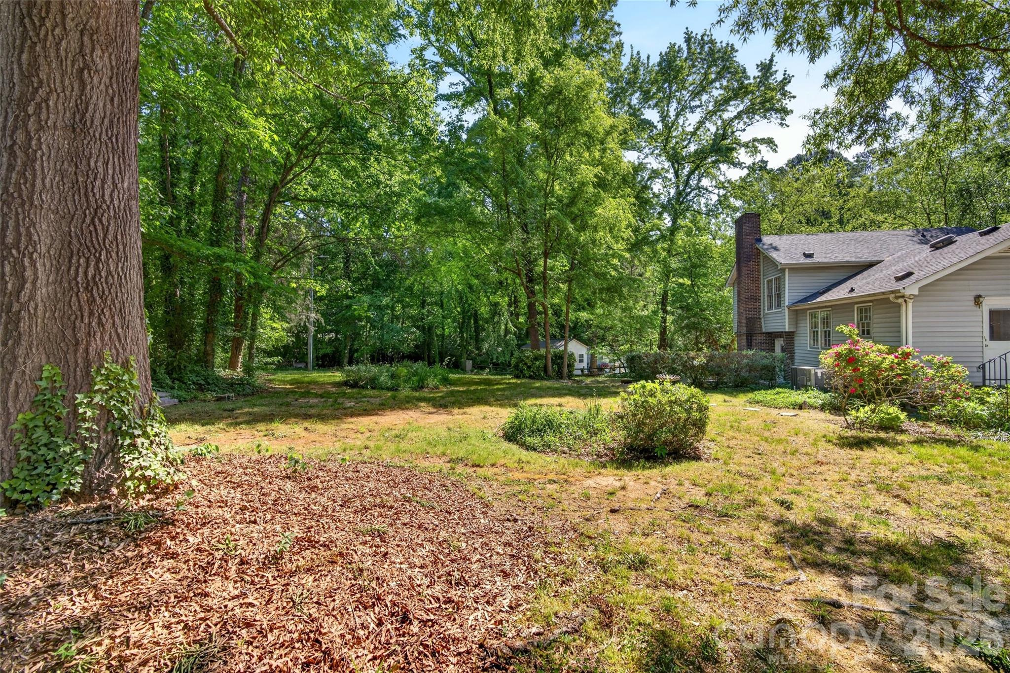 1511 Ormsby Court — Charlotte