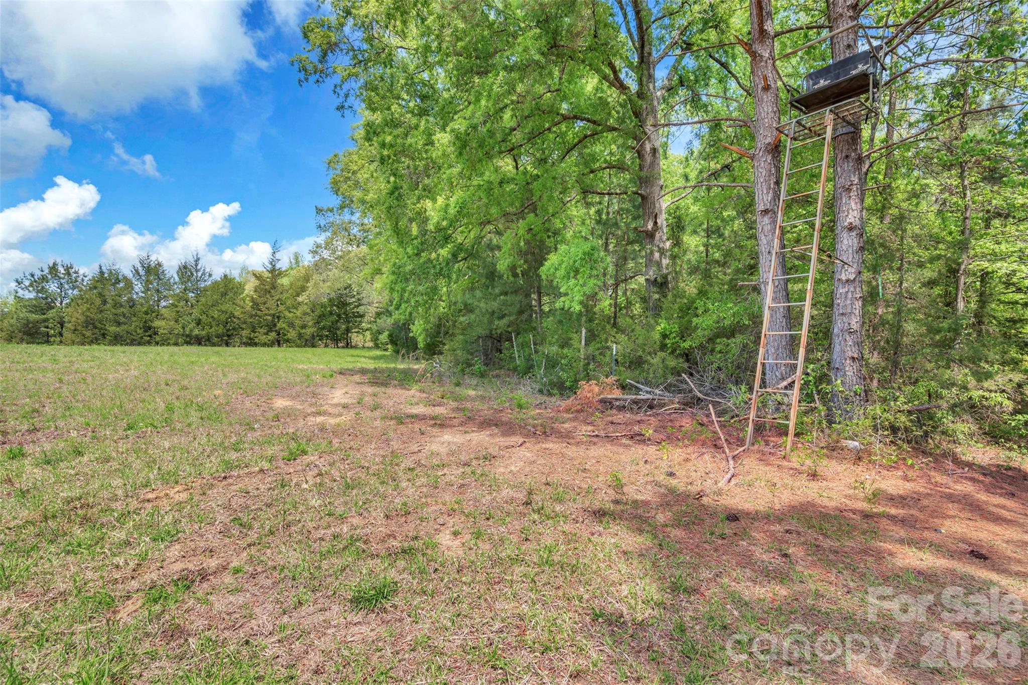 1958 Boyd Road — Blackstock