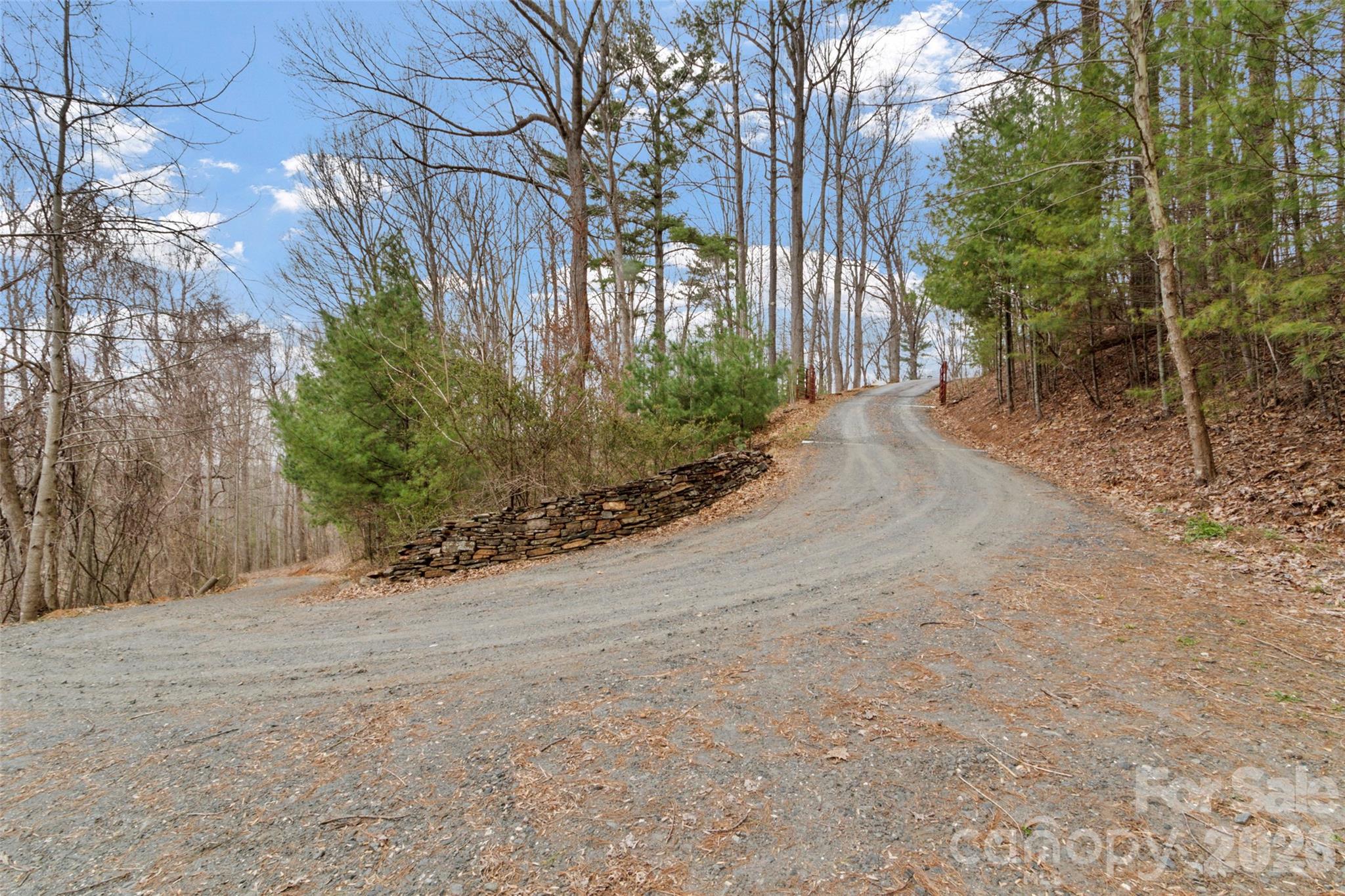 462 Little Mountain Road — Bakersville