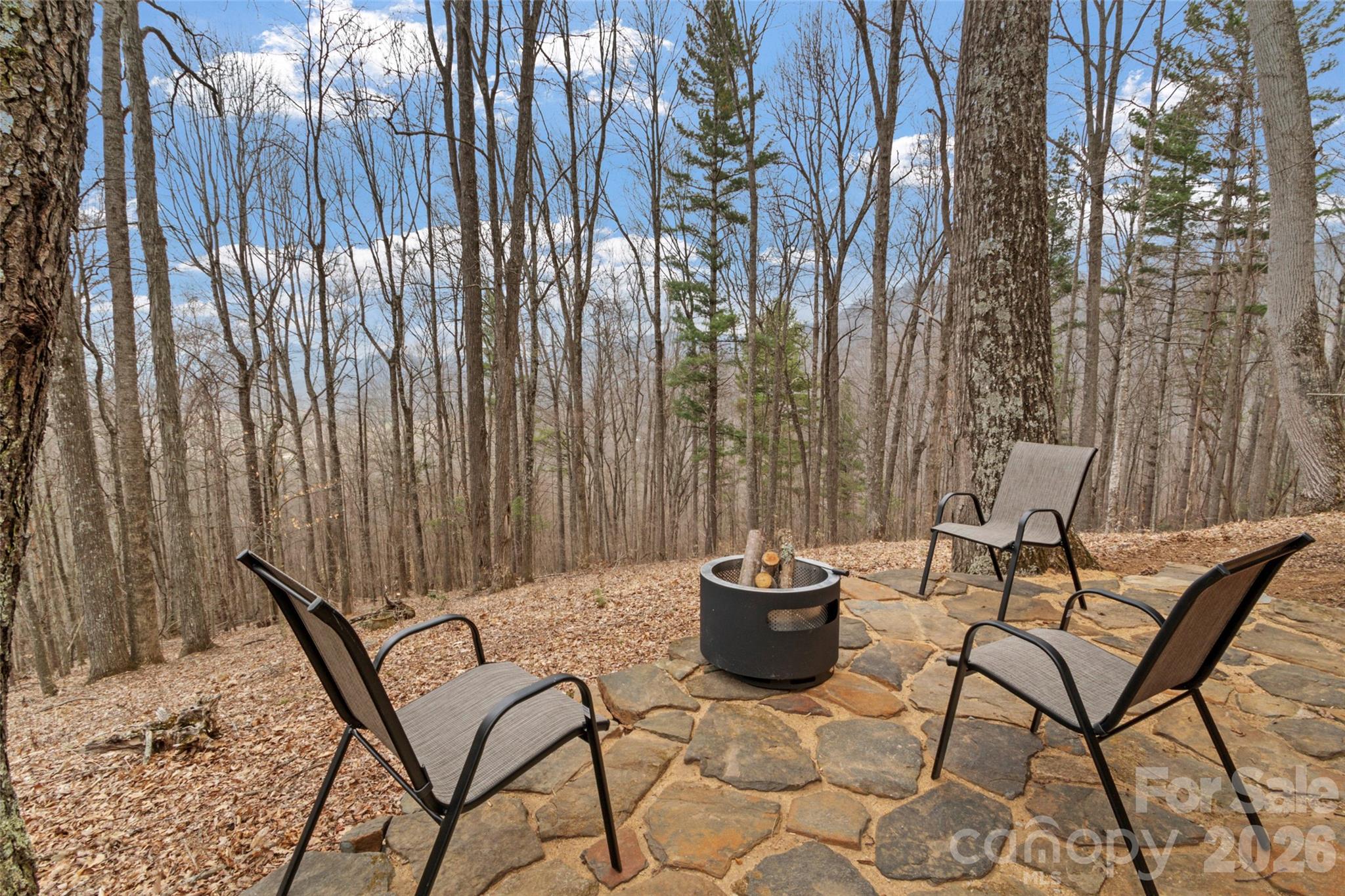 462 Little Mountain Road — Bakersville