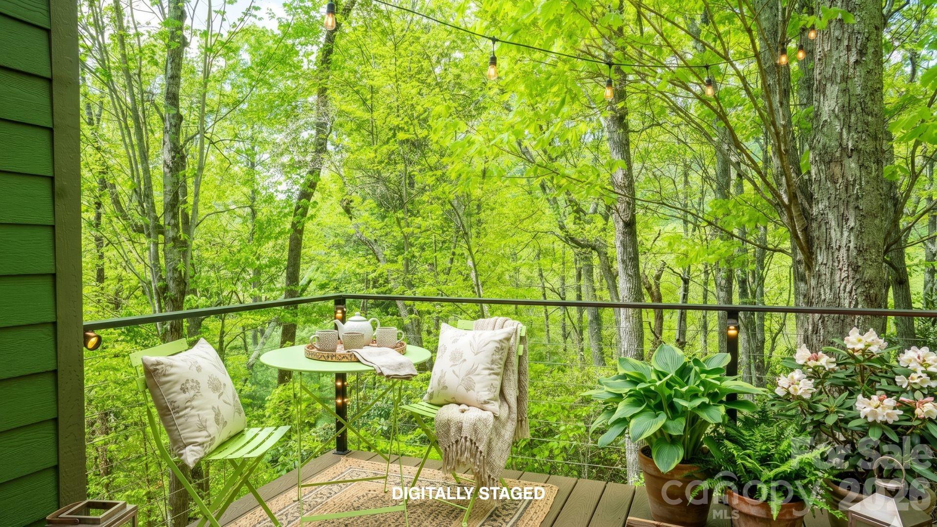 26 Robinson Creek Road — Asheville