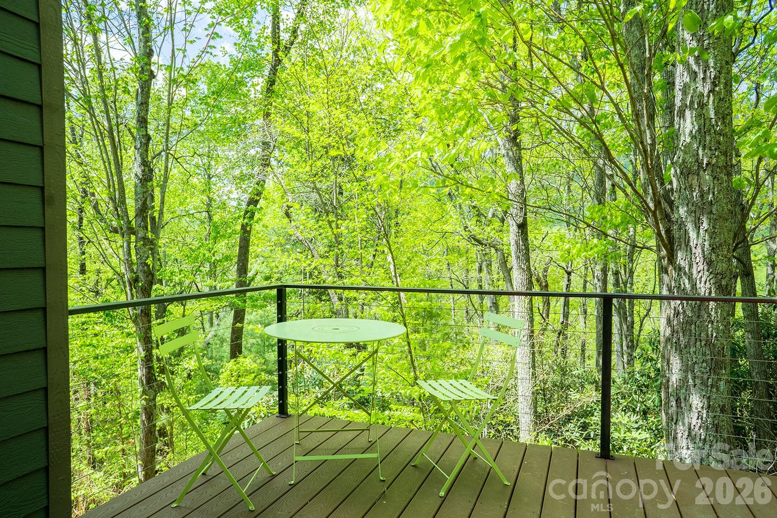 26 Robinson Creek Road — Asheville