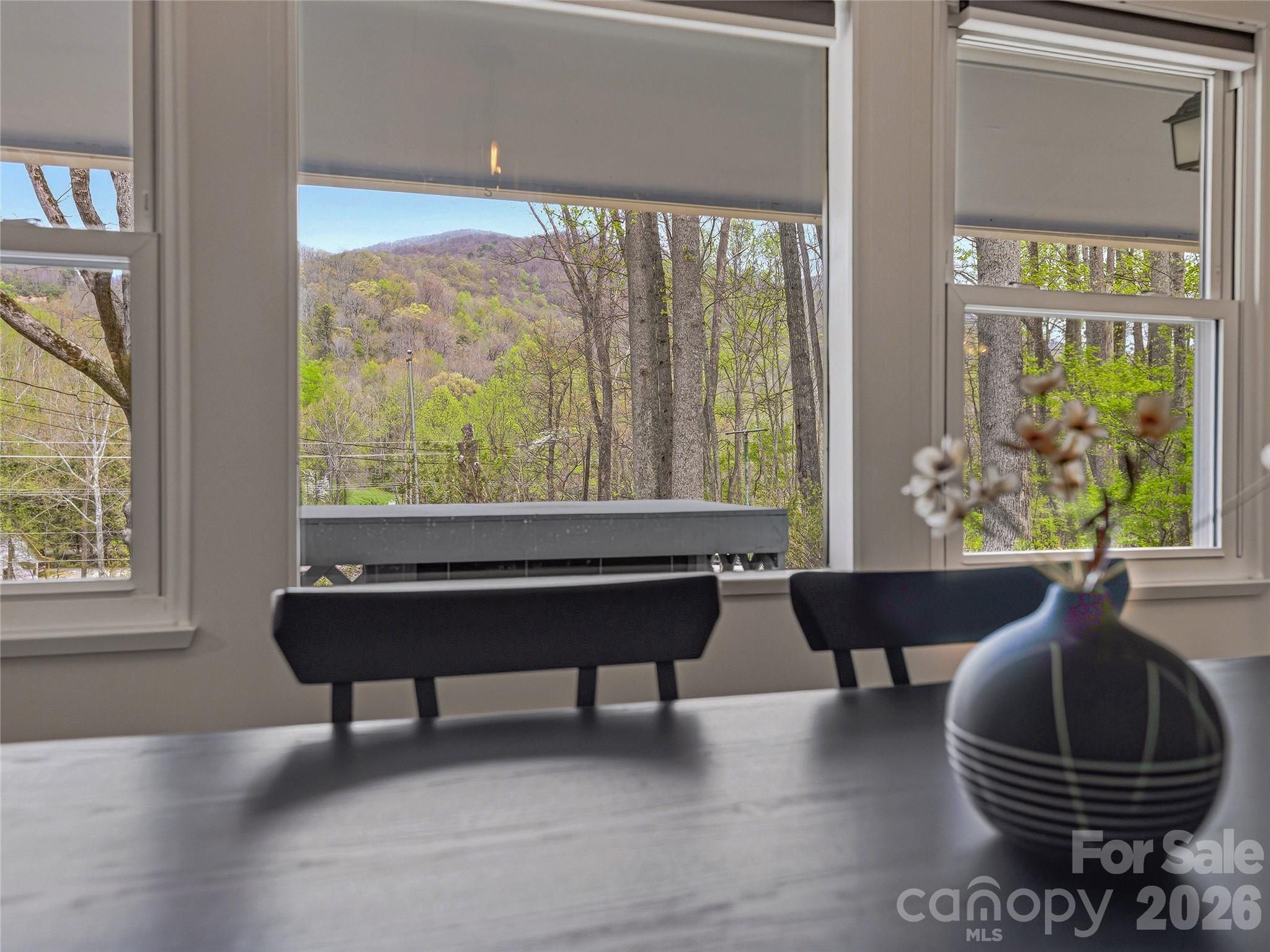 36 Dogwood Drive — Maggie Valley