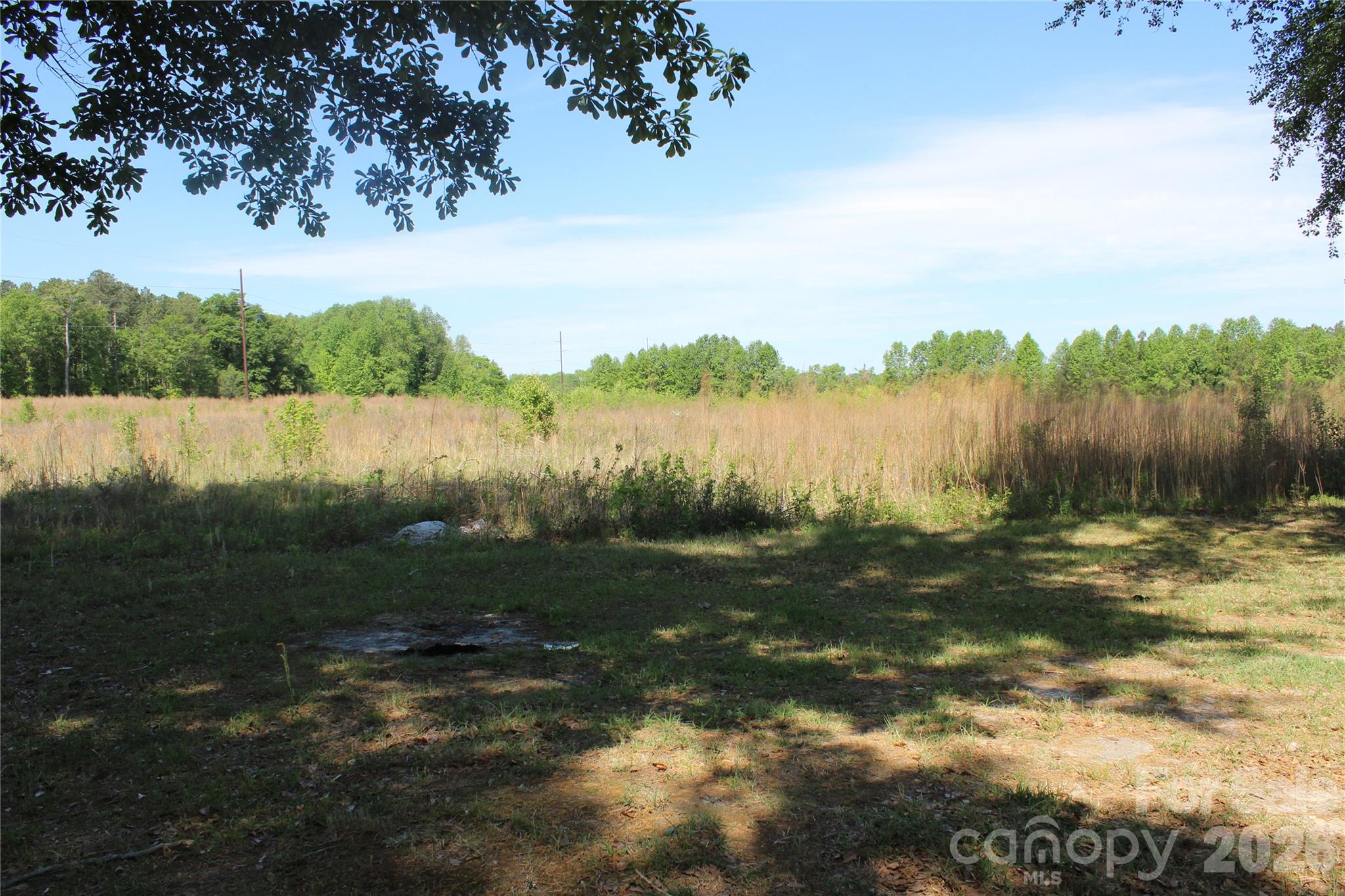 249 J L Green Lane — Pageland