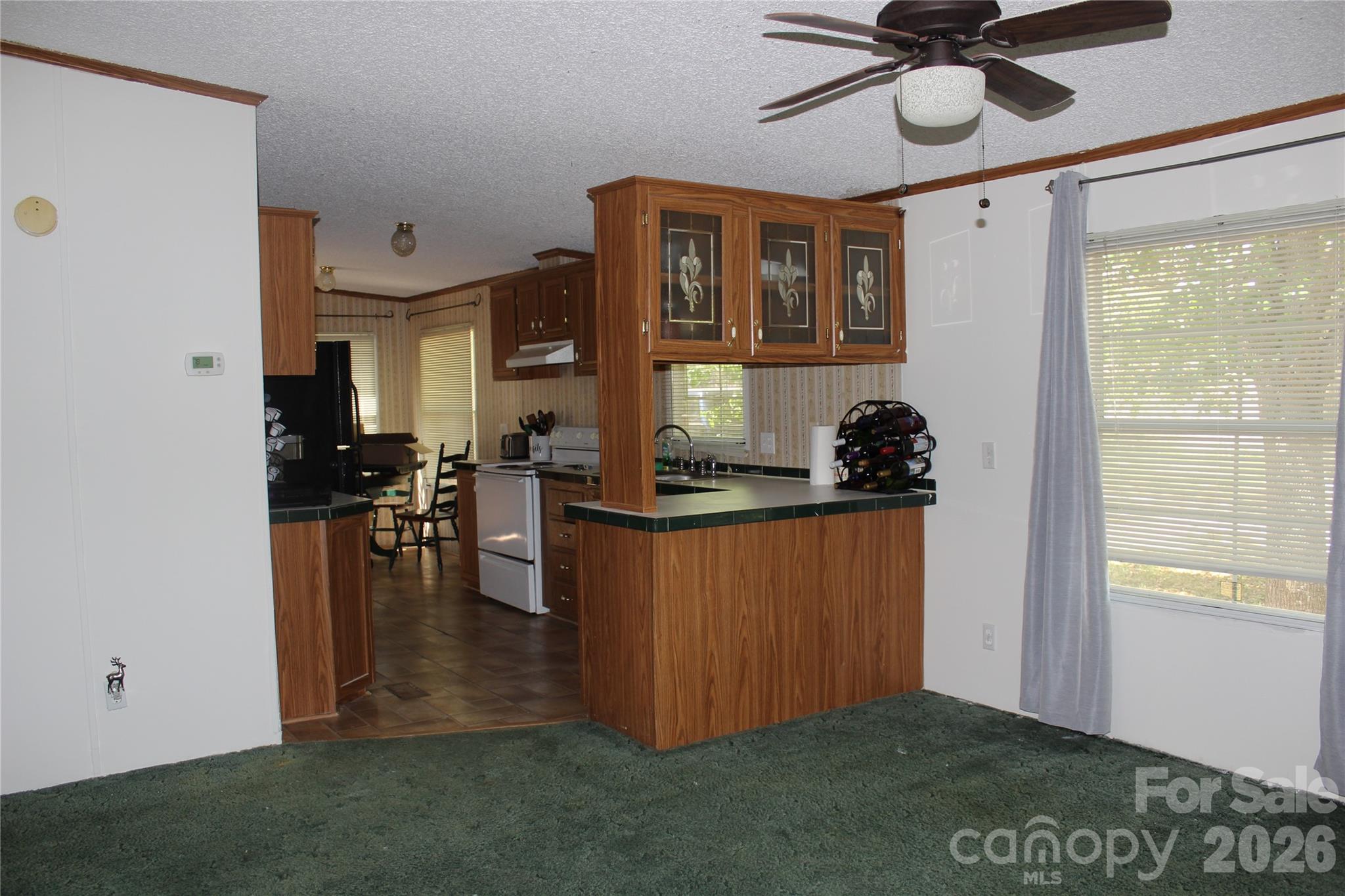 249 J L Green Lane — Pageland