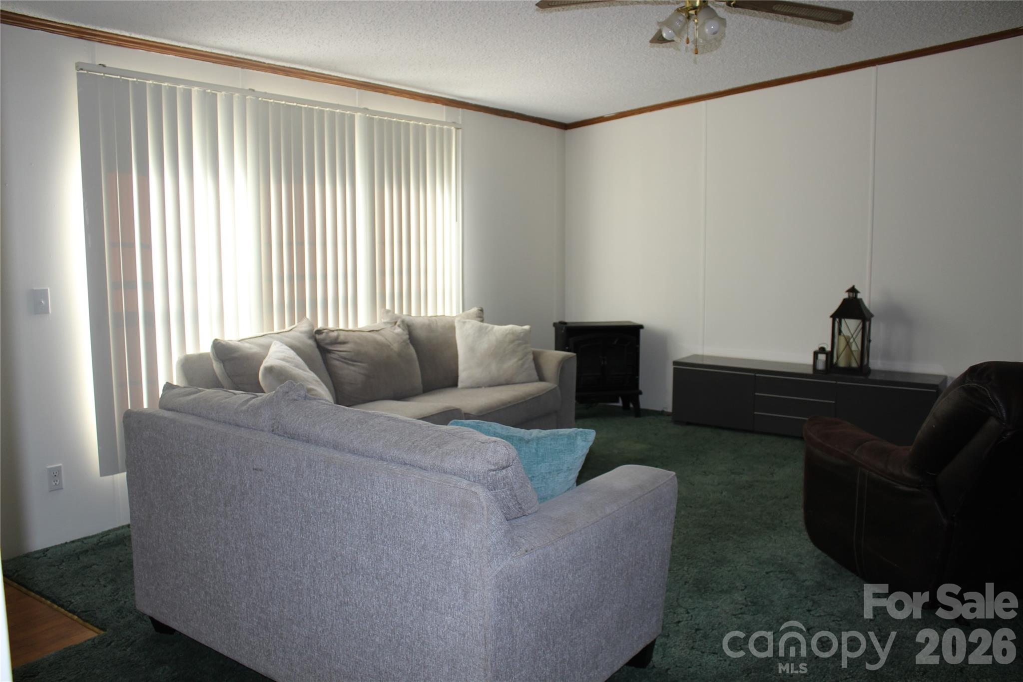 249 J L Green Lane — Pageland